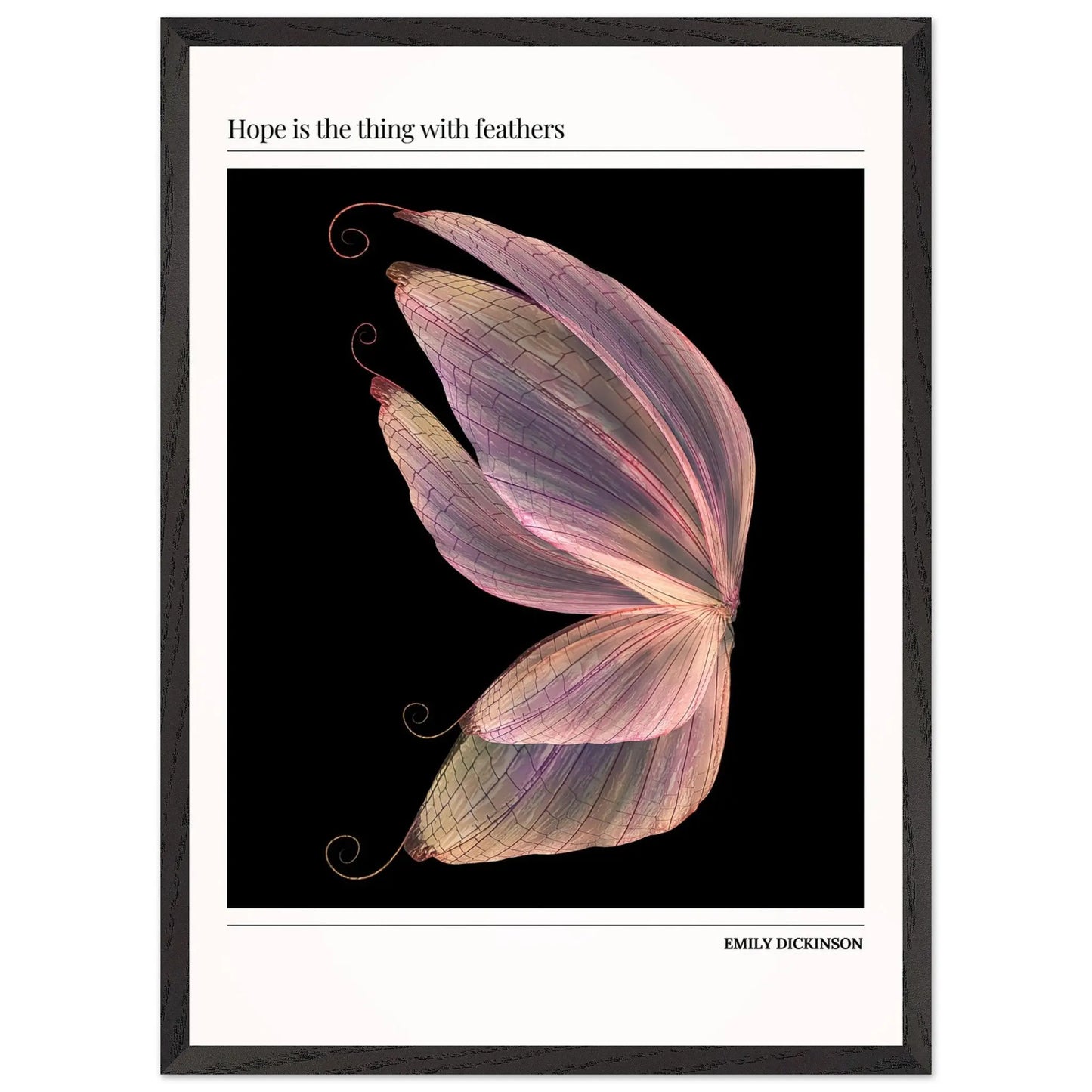 c1d69ed6-f2f8-4b6e-a7b0-a8dcfd326691