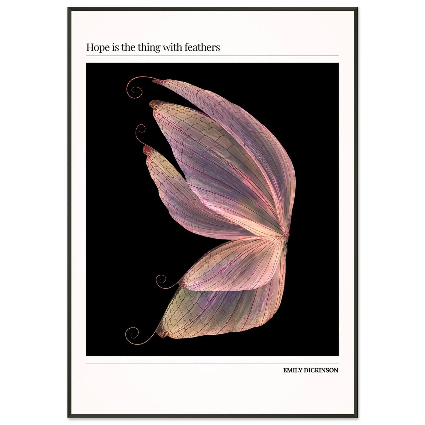 3d707523-ceea-45ca-9fac-d16ed1bc7244