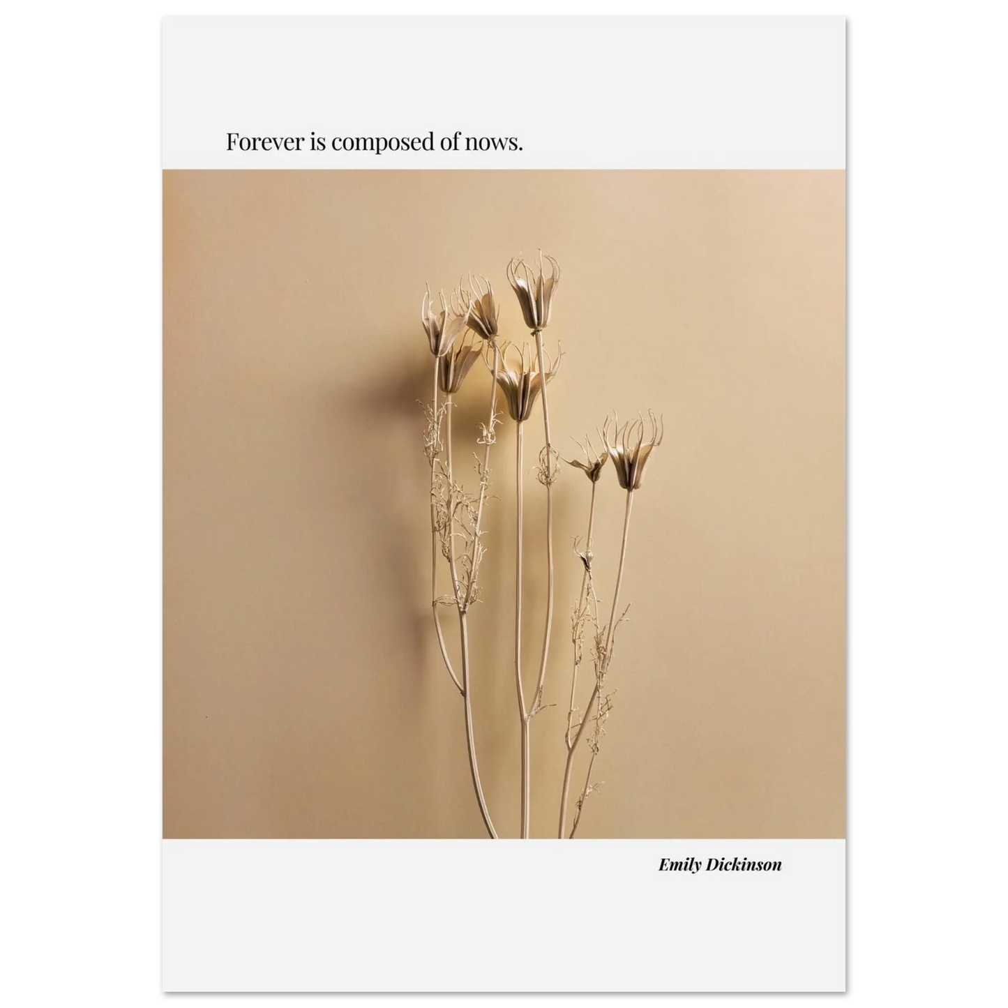 397a8625-269c-49d2-93c1-bbd2230ee20e