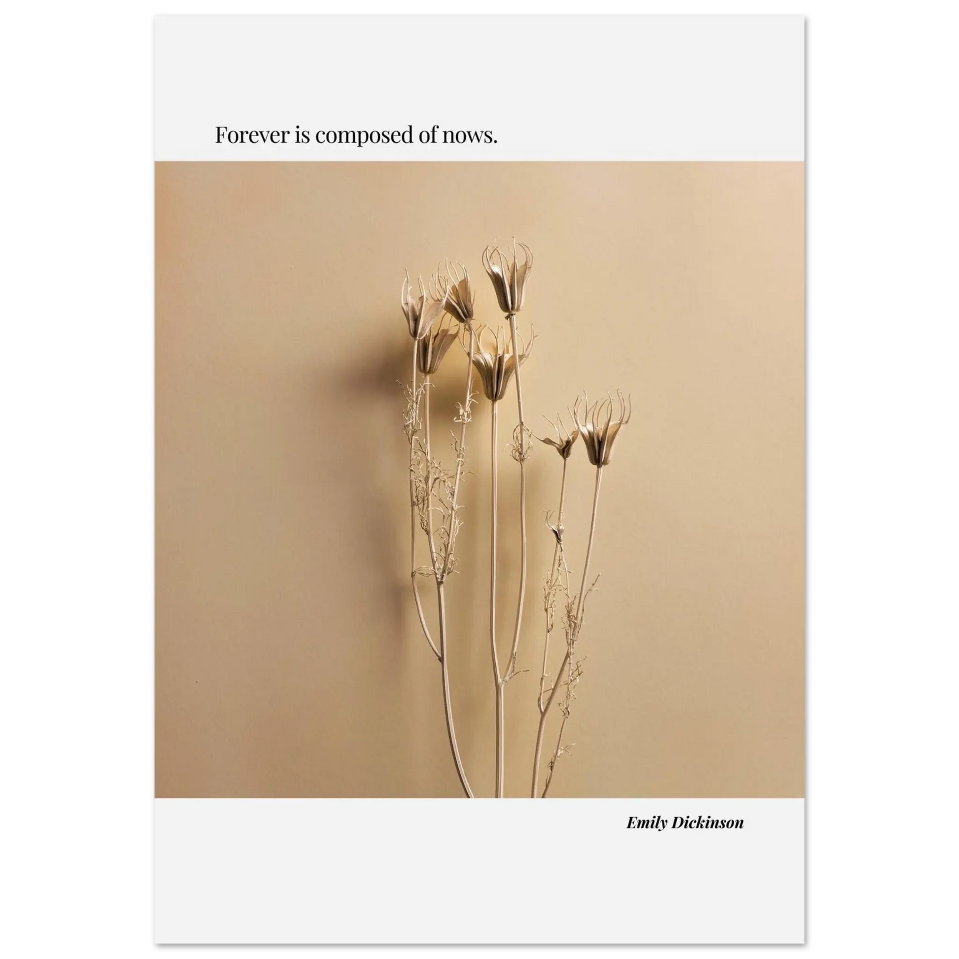 397a8625-269c-49d2-93c1-bbd2230ee20e