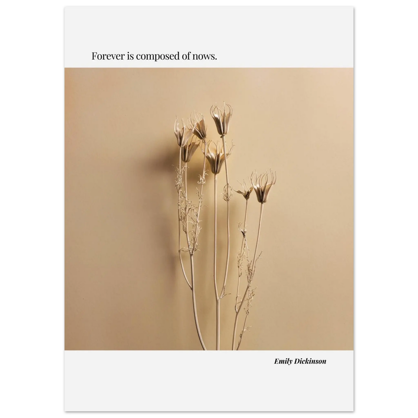 a44b6315-d340-41d5-8217-a937672dd74c