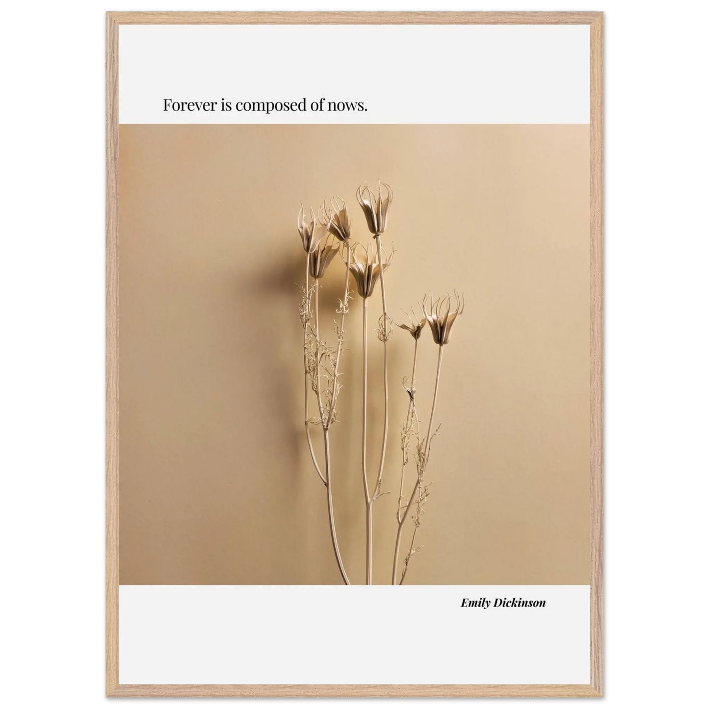 d173838c-0a67-4501-b186-b4fc34f99f77