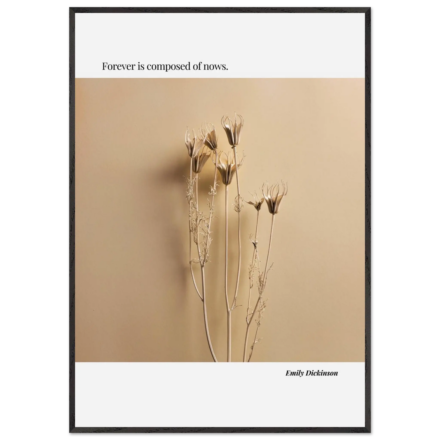 ca95ac1a-8bef-4465-b798-70e419dd9c42