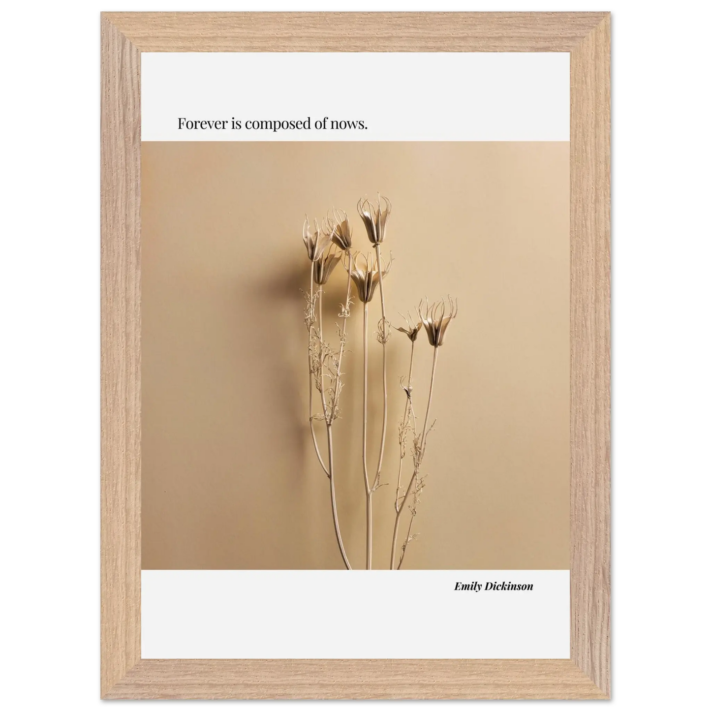 5d214c0e-1010-4d4e-b91a-a63572d515e6