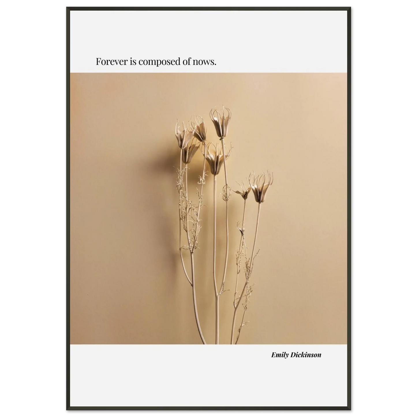 7cefe2da-ad5c-4bd0-8271-72a0768400d4