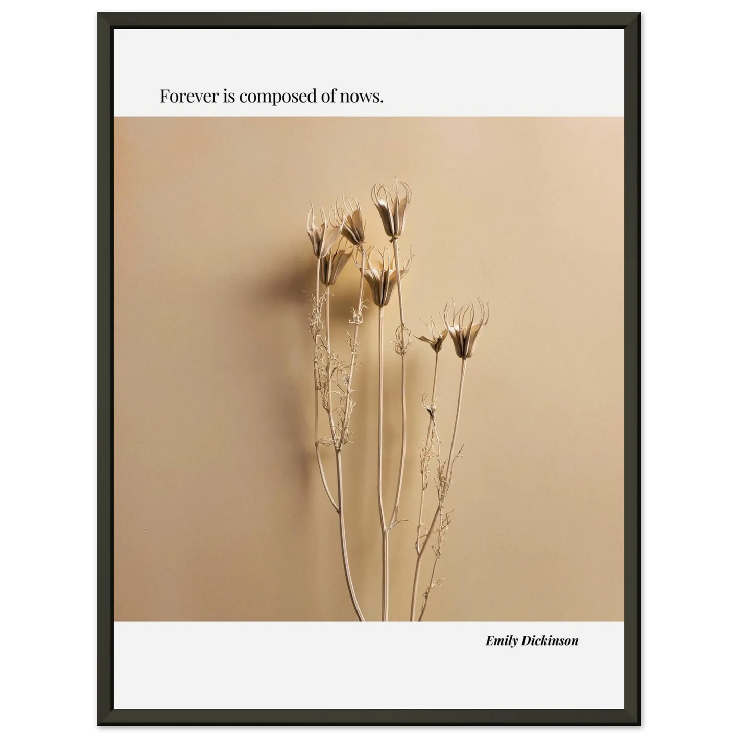 05da631b-ebfe-4bf6-bb2c-59ea2836e046