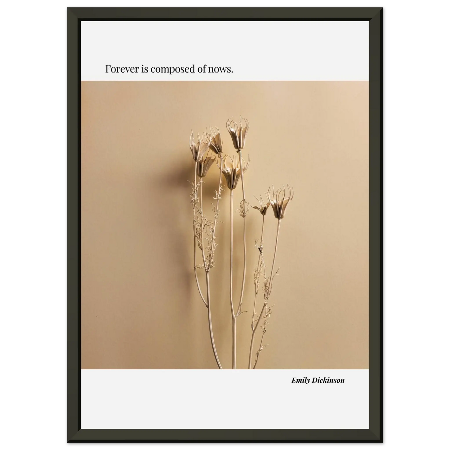 39f2ec4e-2e13-4dbd-ad8d-104cf9c054df