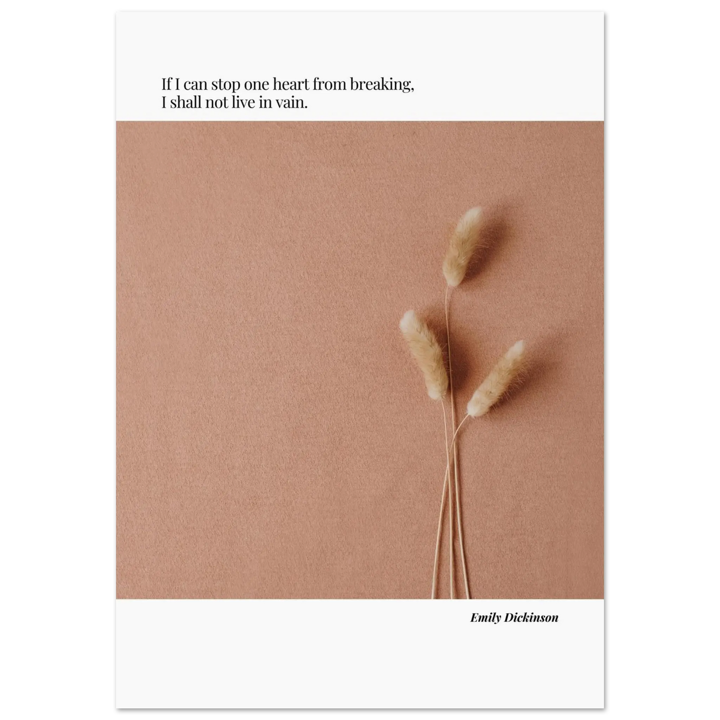 0cc038db-a5ad-4a2c-96cb-4e38570ca352