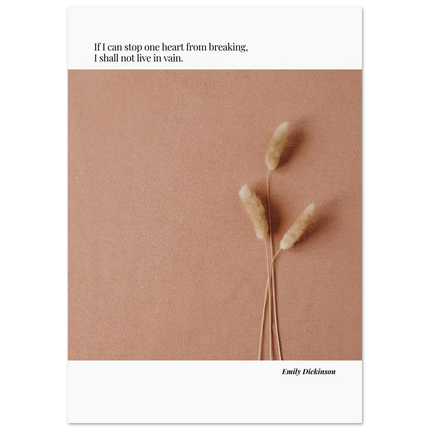 d15cf791-1491-472f-a582-8f0c186b442f