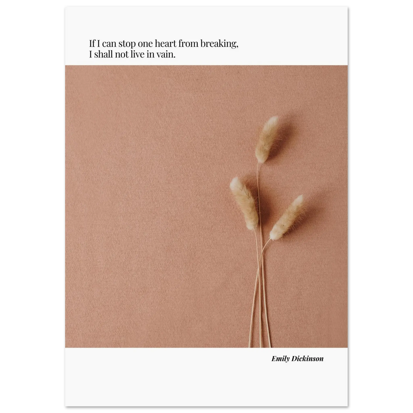 6d66bf43-2157-4449-b3ab-40f959b06088