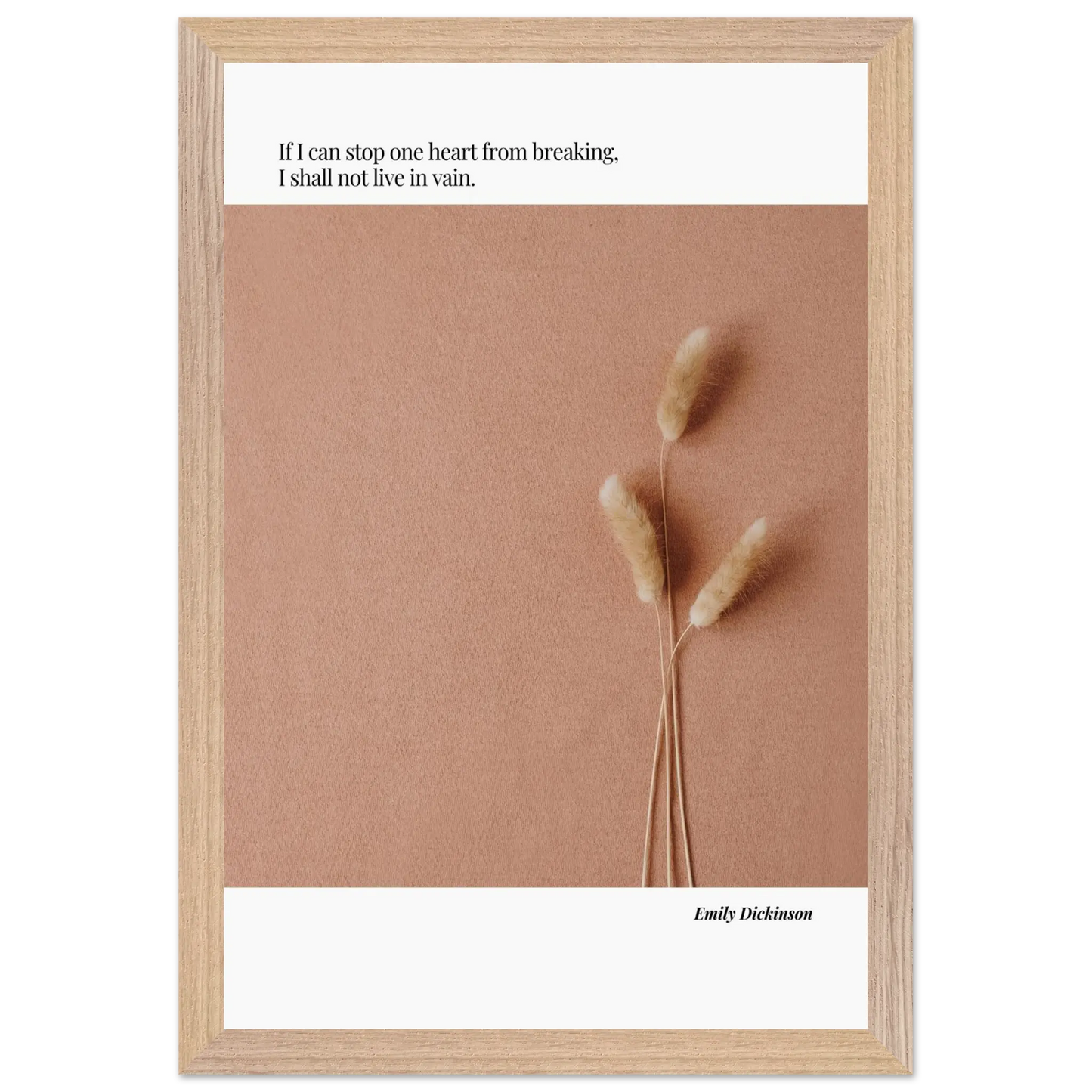 2495b1cc-6539-44e4-8109-bb6b1cd35876