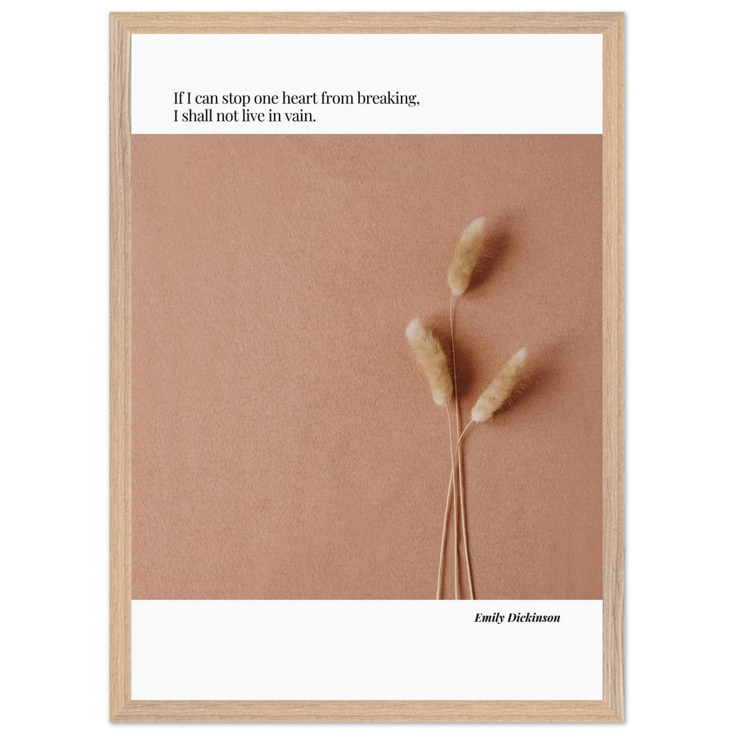 954cca96-32a2-4ffb-8cbe-90de49941d38