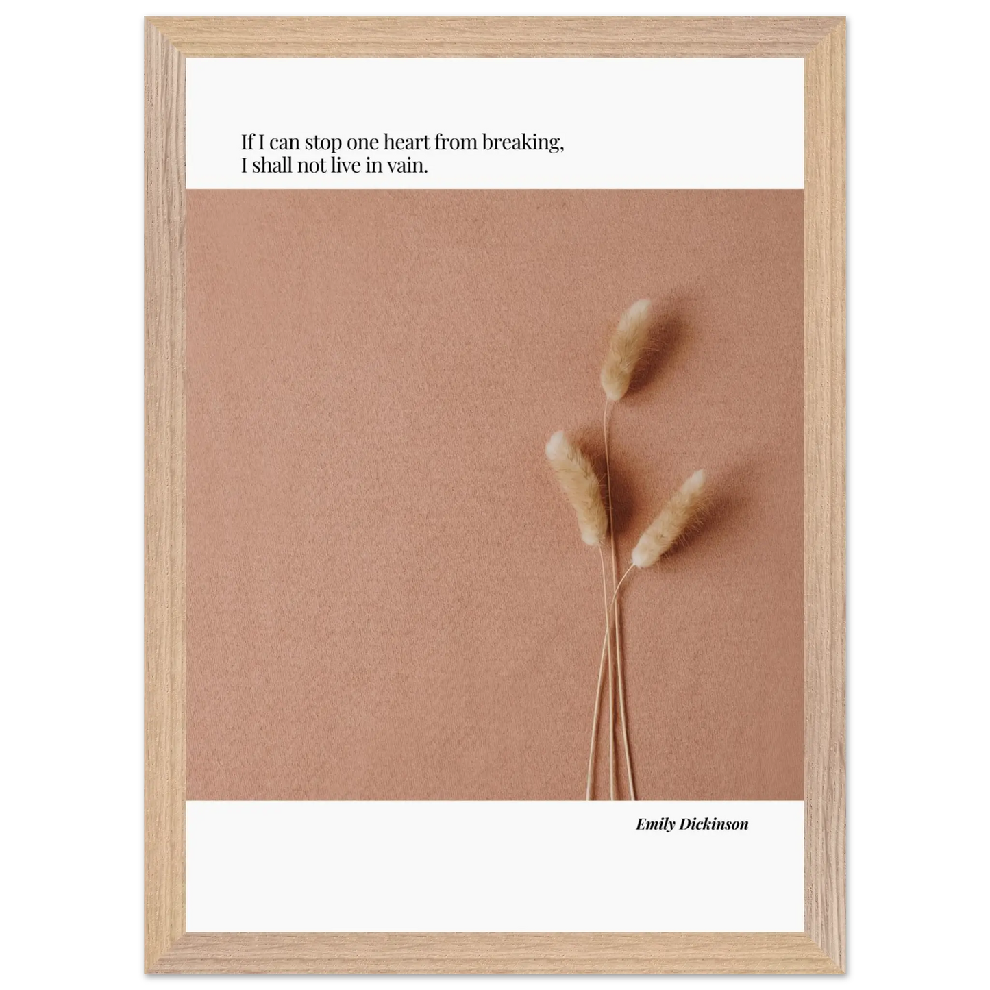 1abd8963-4ad1-4433-830c-3f5362bc9086