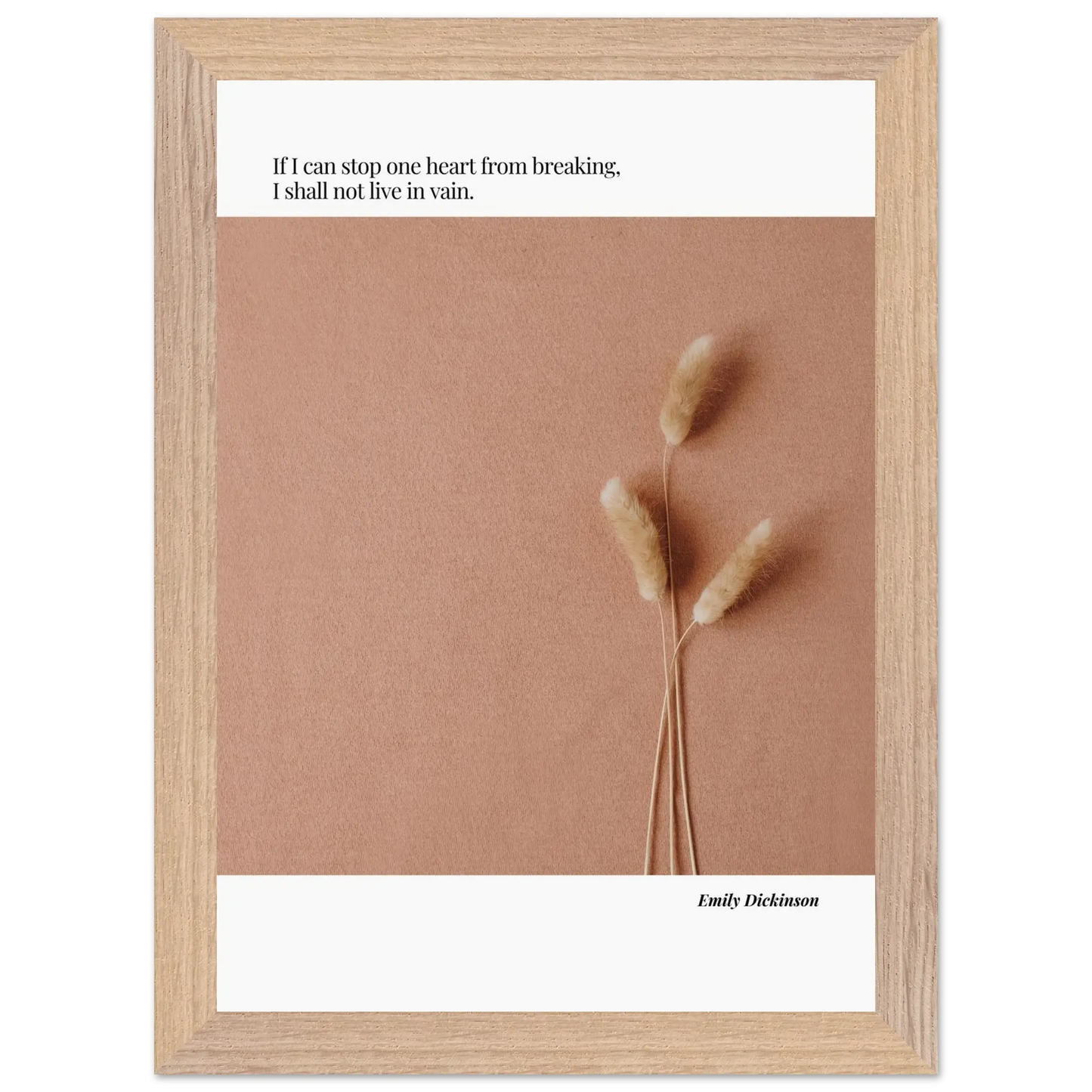 fbd8e837-b279-4e1a-ab04-2343d311d202