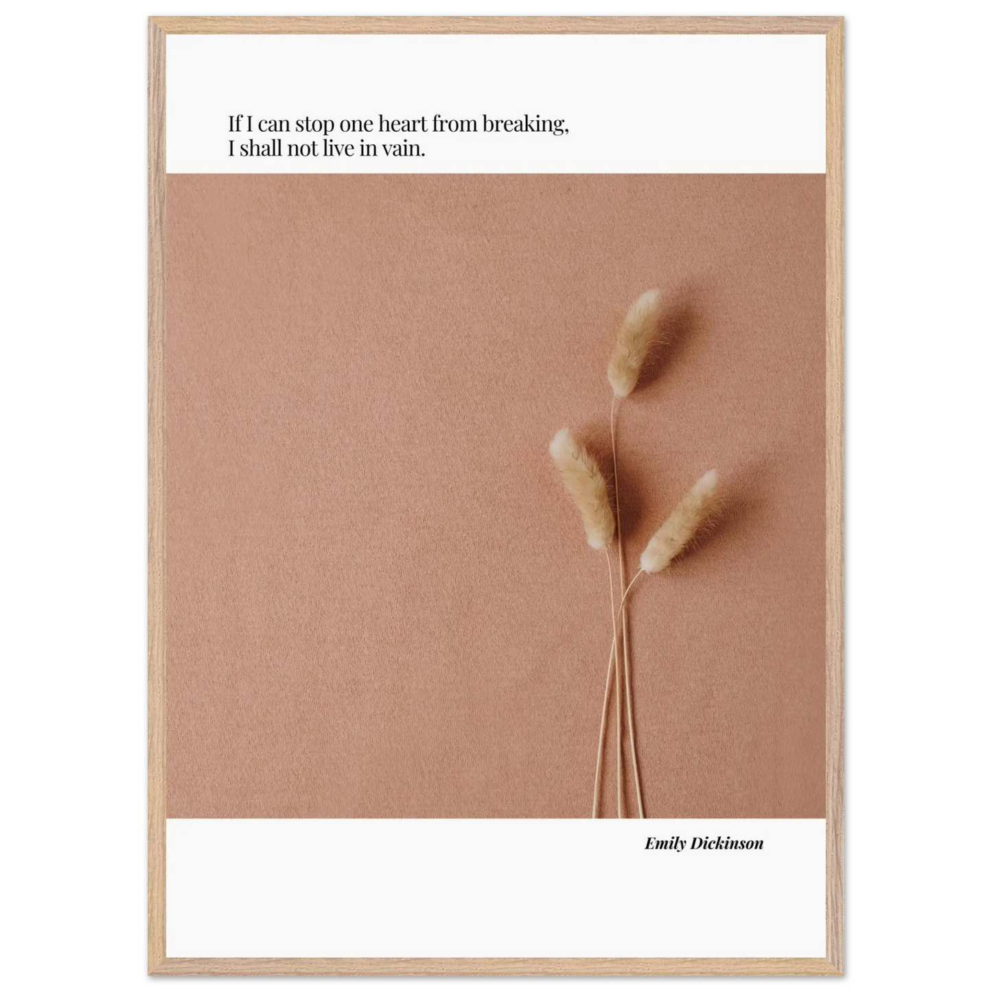 7dcad6d3-8acf-420a-b194-a5c62e22ff79