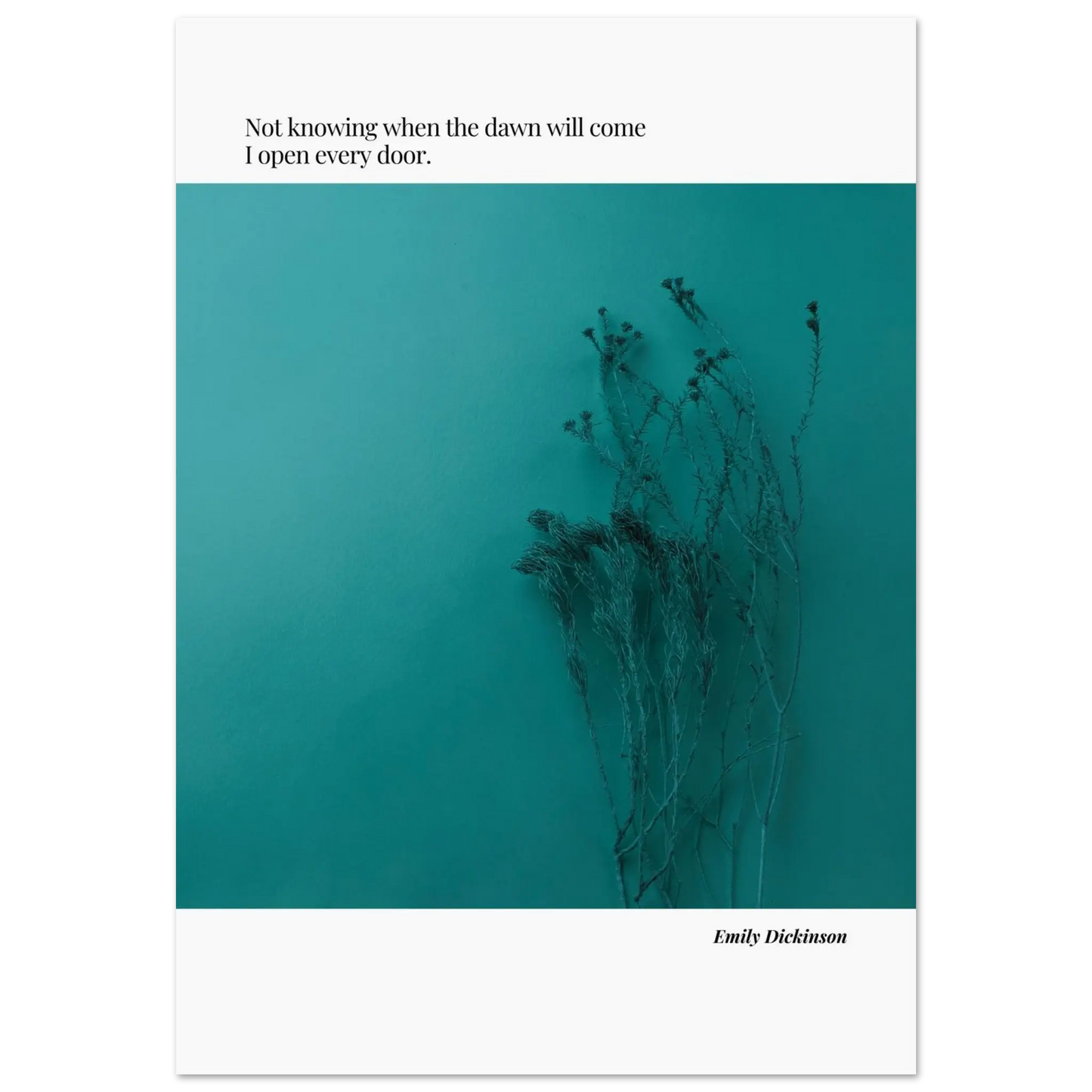 503315ed-3c6b-46a6-ab54-72b252bfd26a