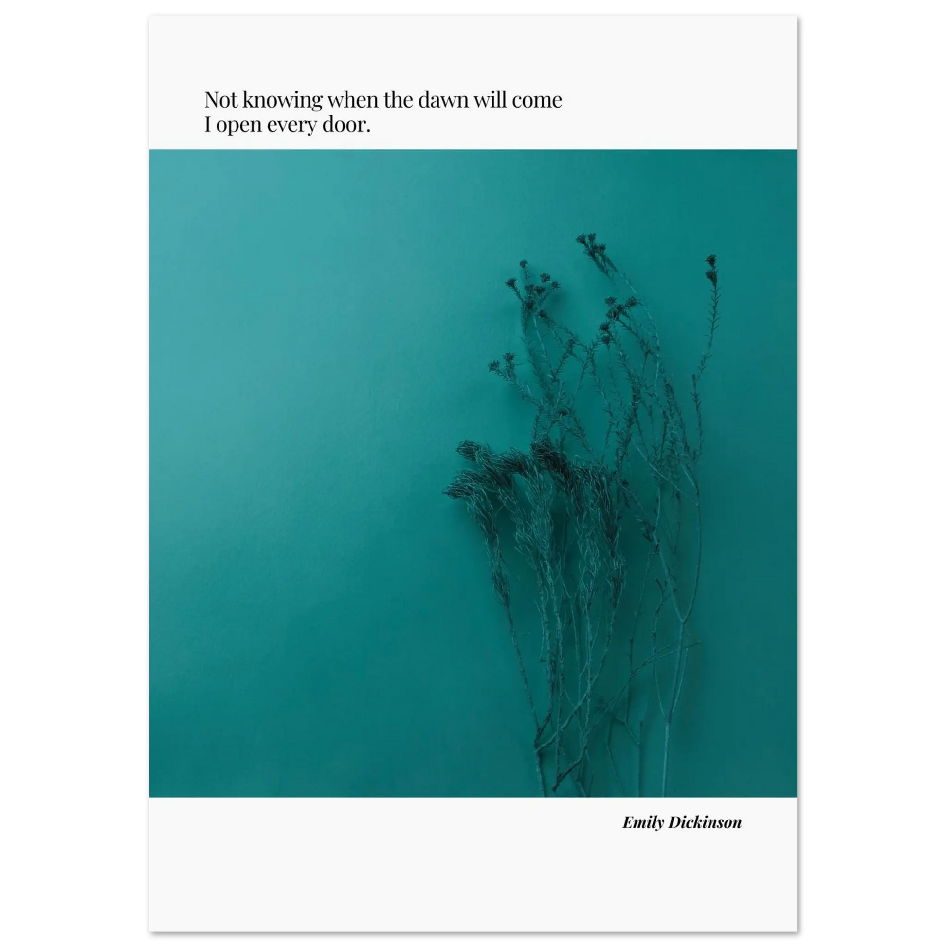 3ea8e200-d319-4908-9c03-000b84c886c5