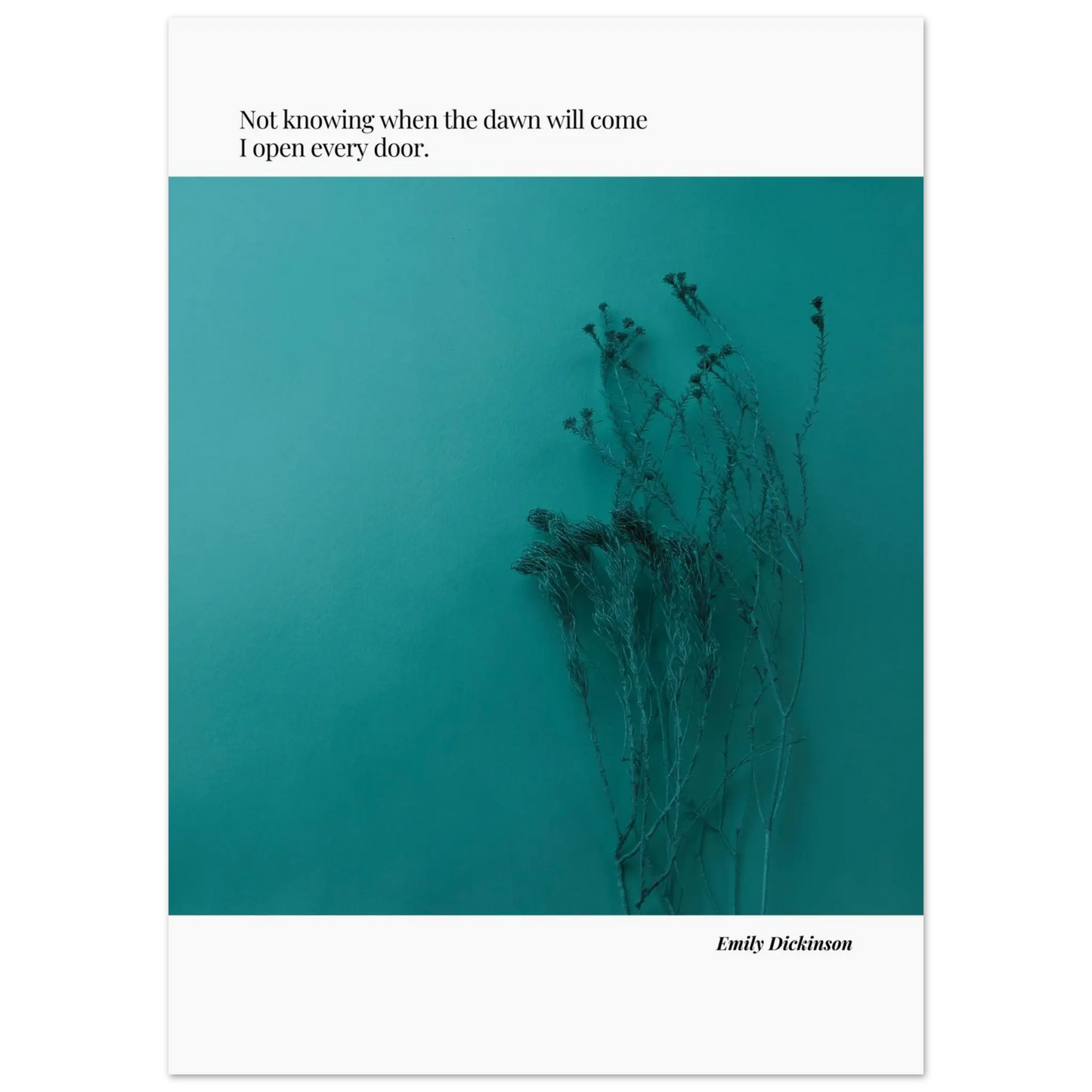 c61d808b-1663-4c49-88db-3f3b9cf257af