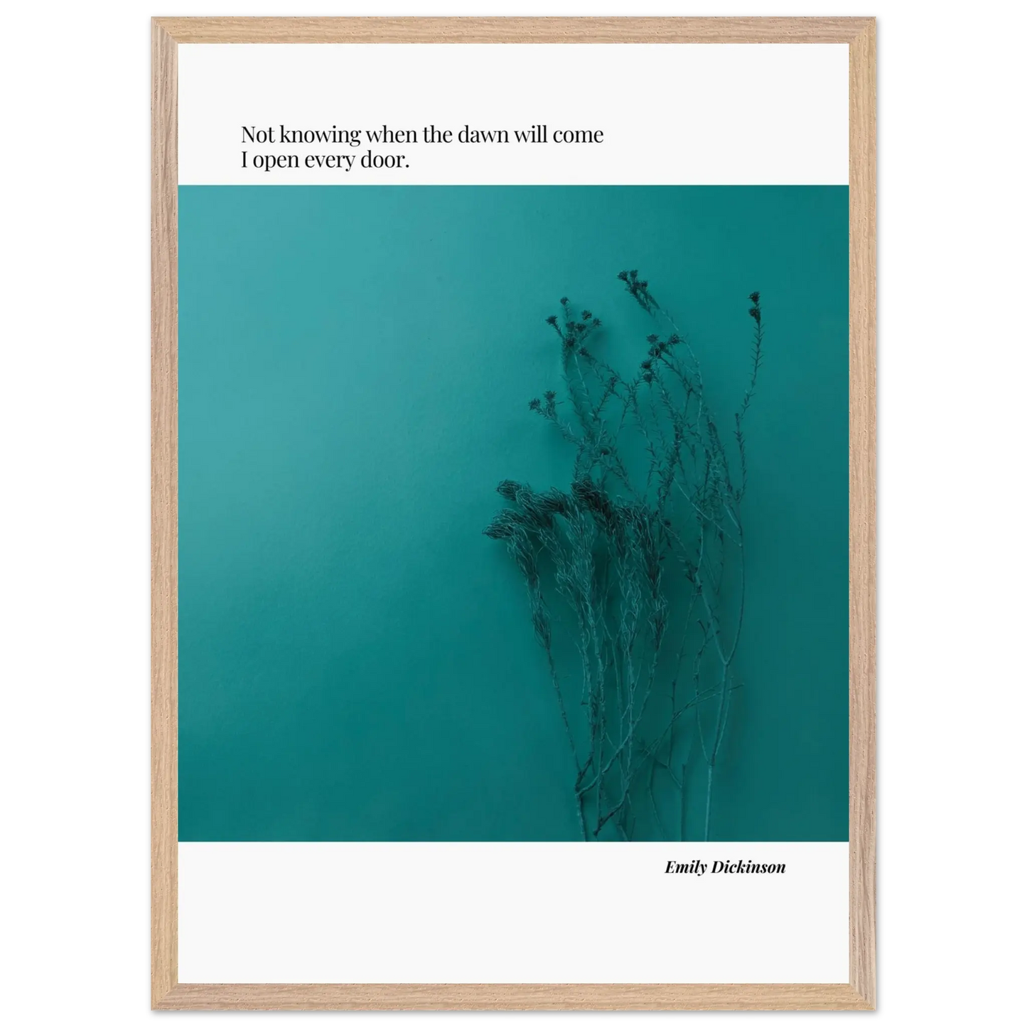 533ad684-50a9-4780-909b-9803a76fea97