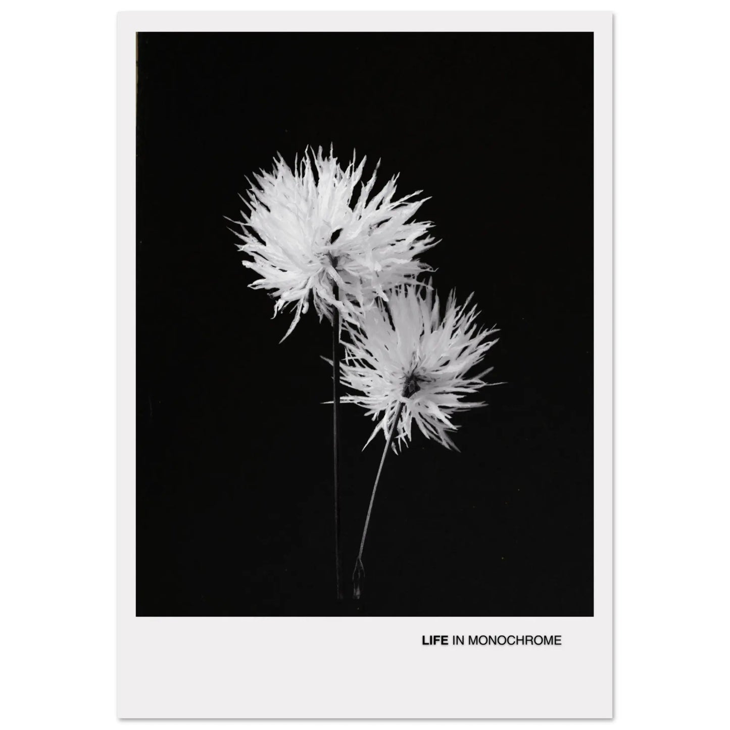 9067dde9-17e1-4e72-9e87-a11a91a65ead