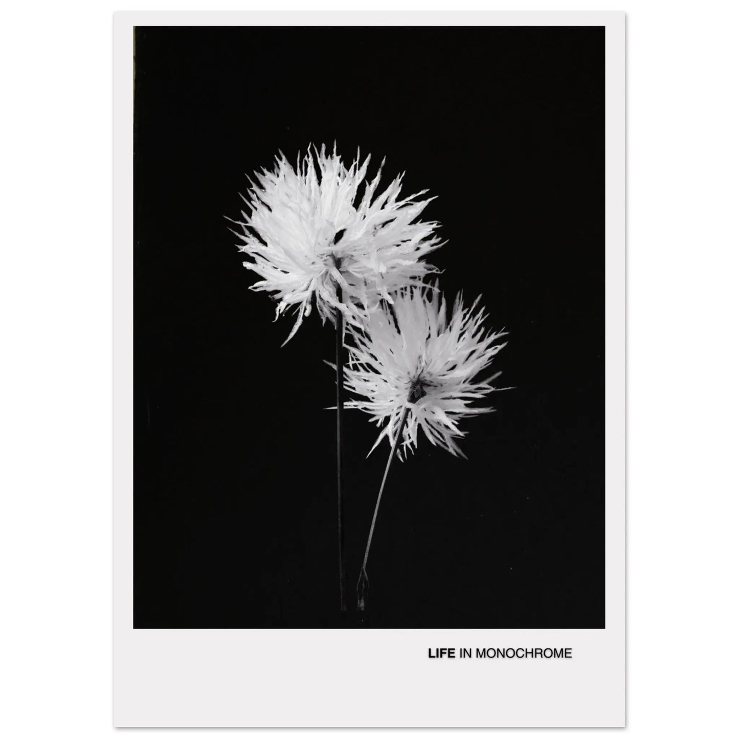 fadc09dc-bea1-439c-b4b1-4c5a38a2ed94