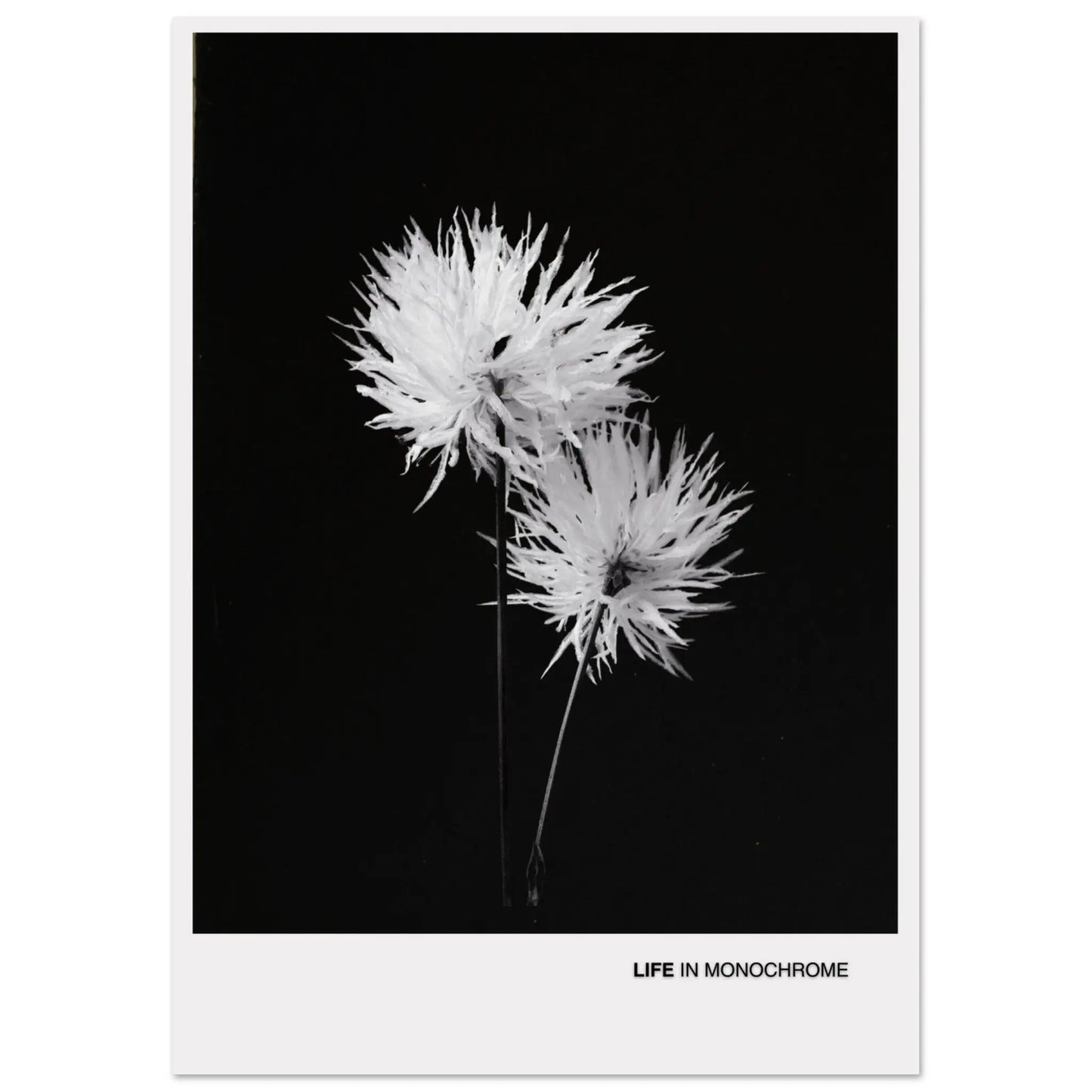 9888c086-9931-4124-a326-f39183c62e4c