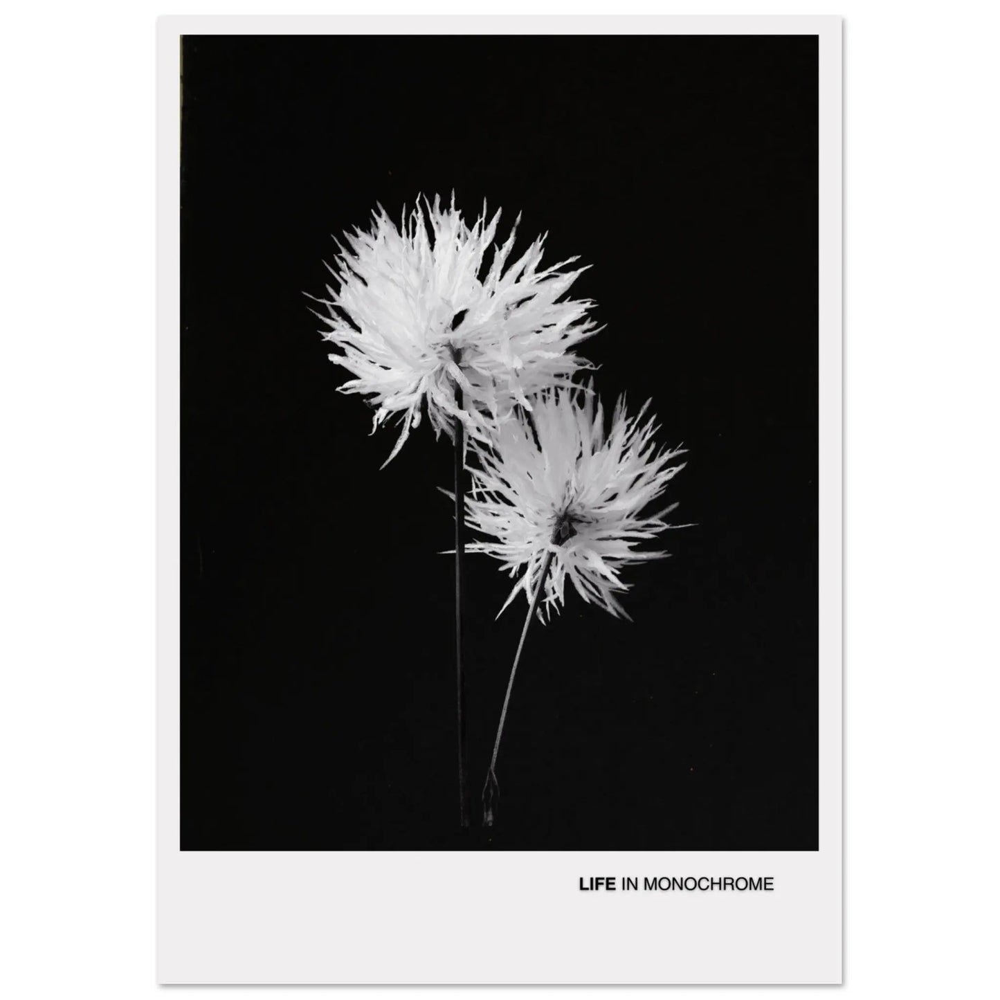 bd83f131-8d47-4c42-83f0-7a9c686b49e7