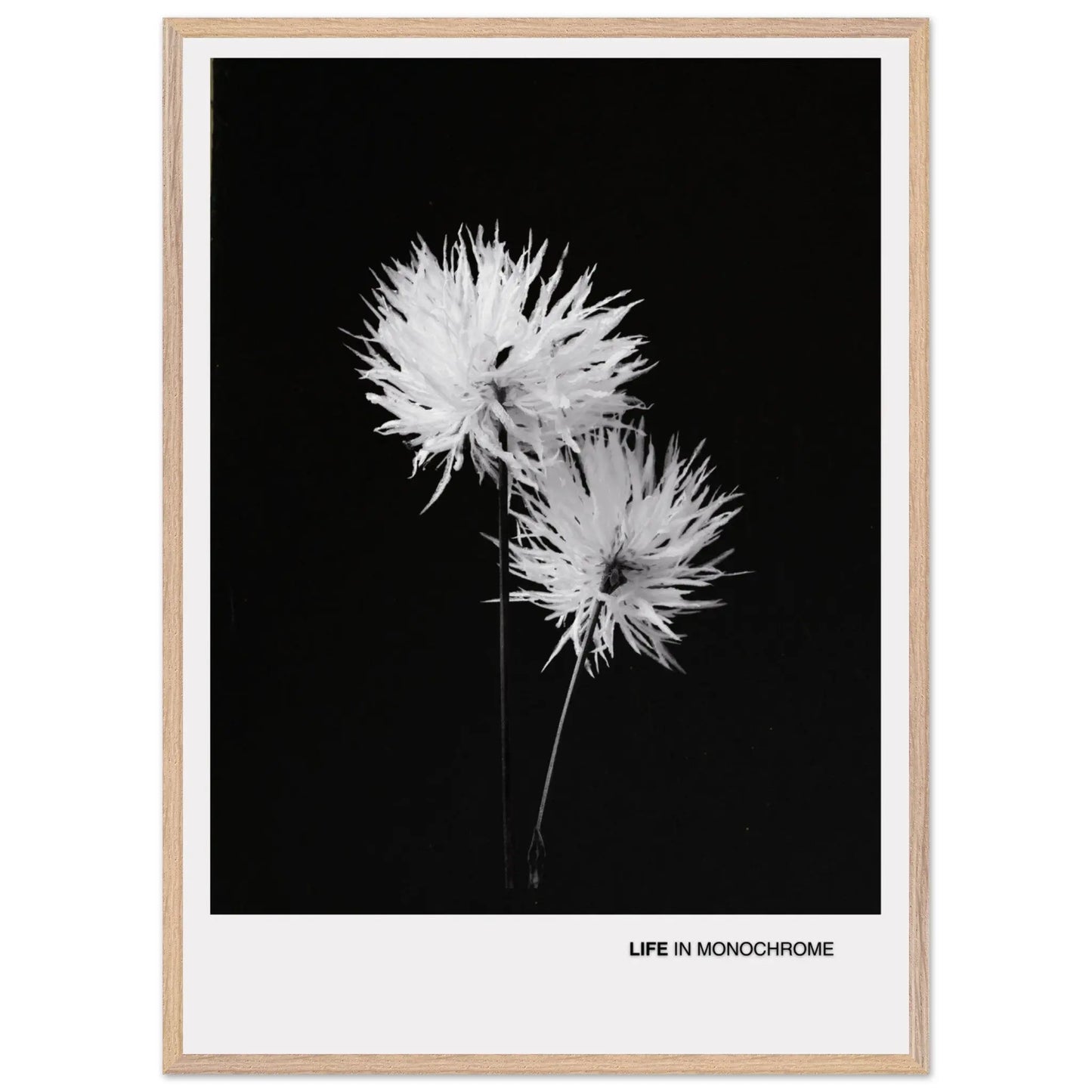 7424cf37-1039-4062-82fc-3d526f37c6ee