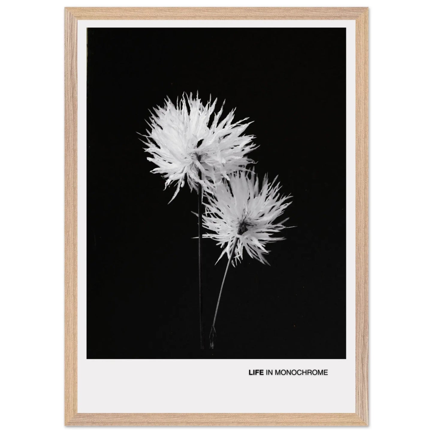 4bbd7fa1-2e0c-4068-b208-1ccf1853de7f