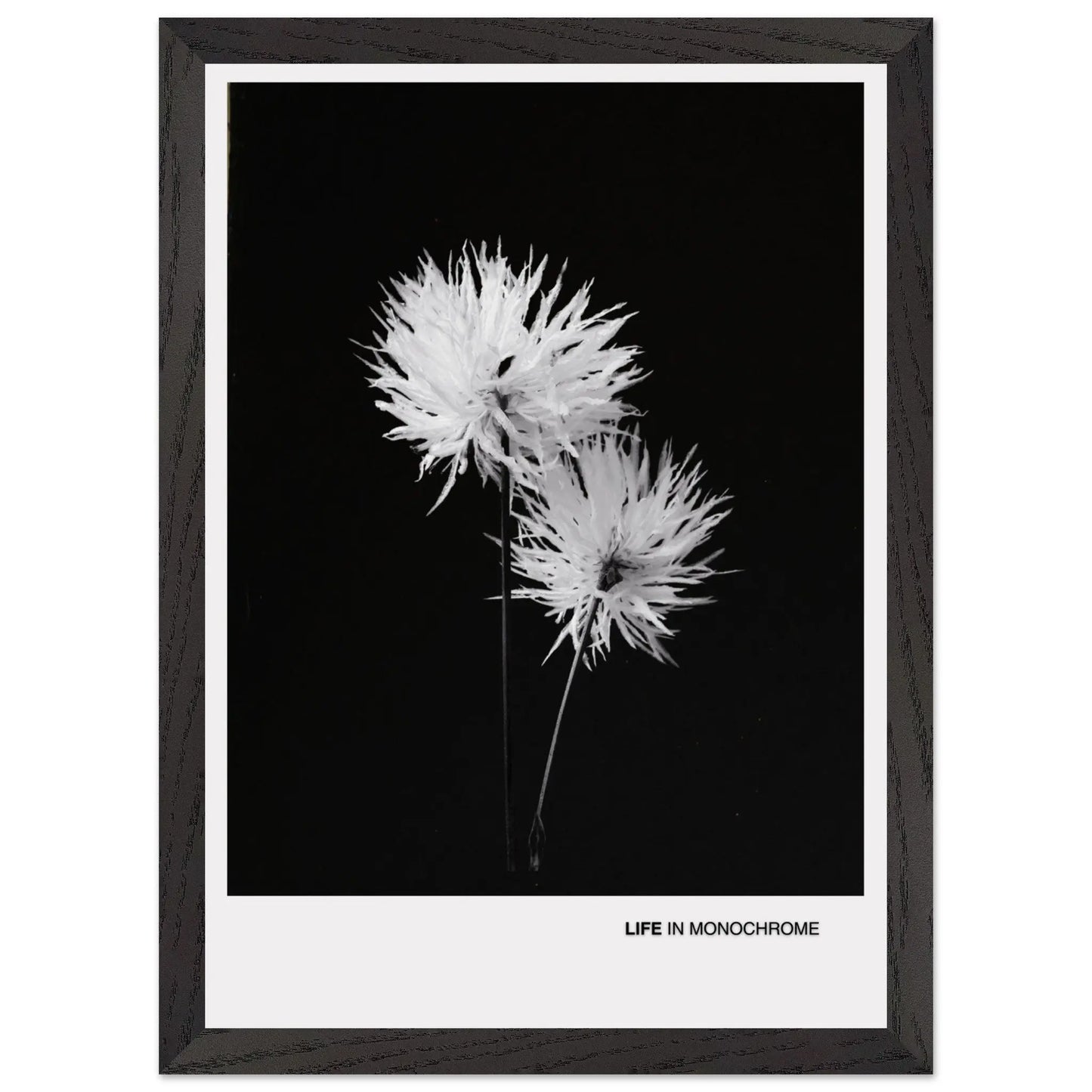 c7507238-c659-43e1-ab9d-1109370499d2