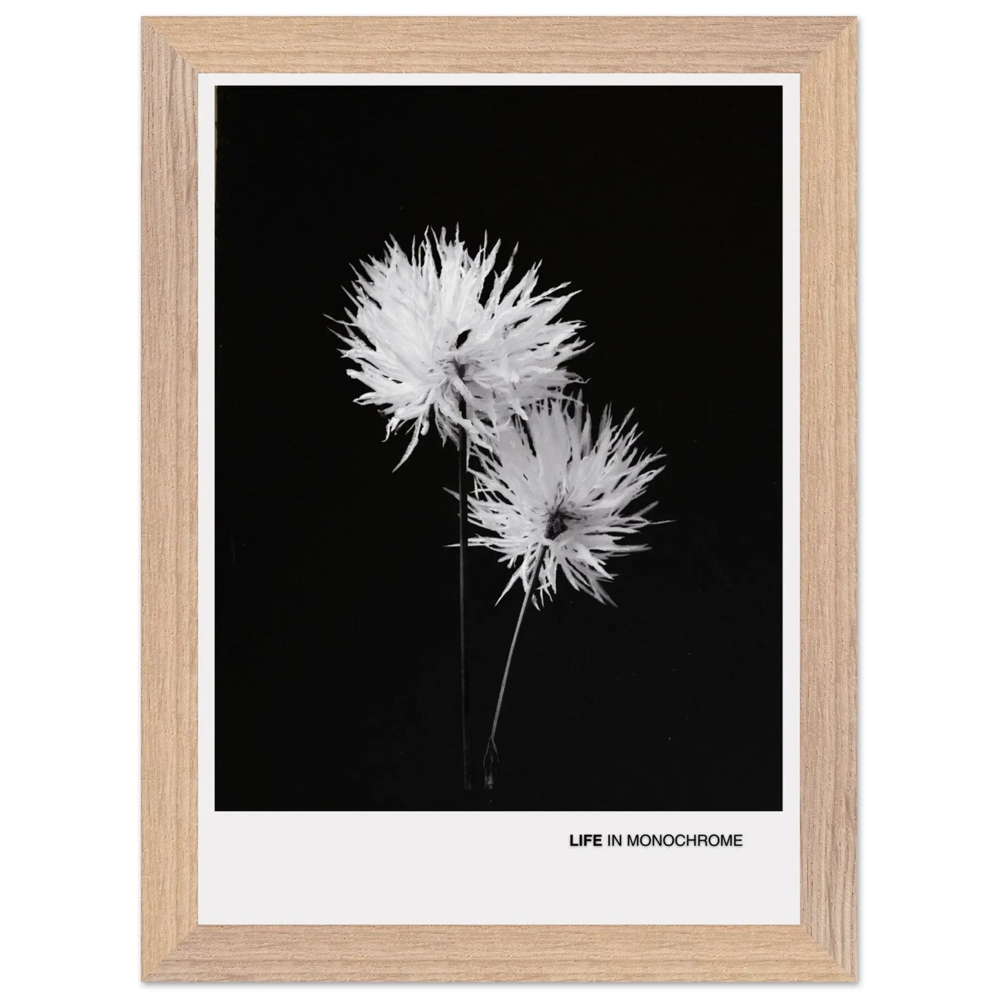 8b5ba161-f662-4f9b-9536-c3b14c2653a1