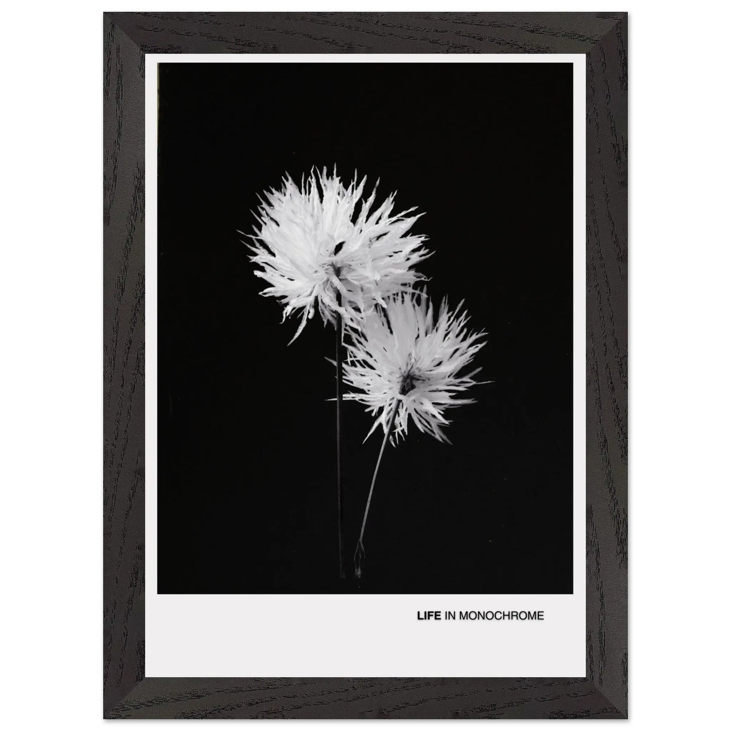 a184179c-a143-4883-8fda-7db12ef4031e