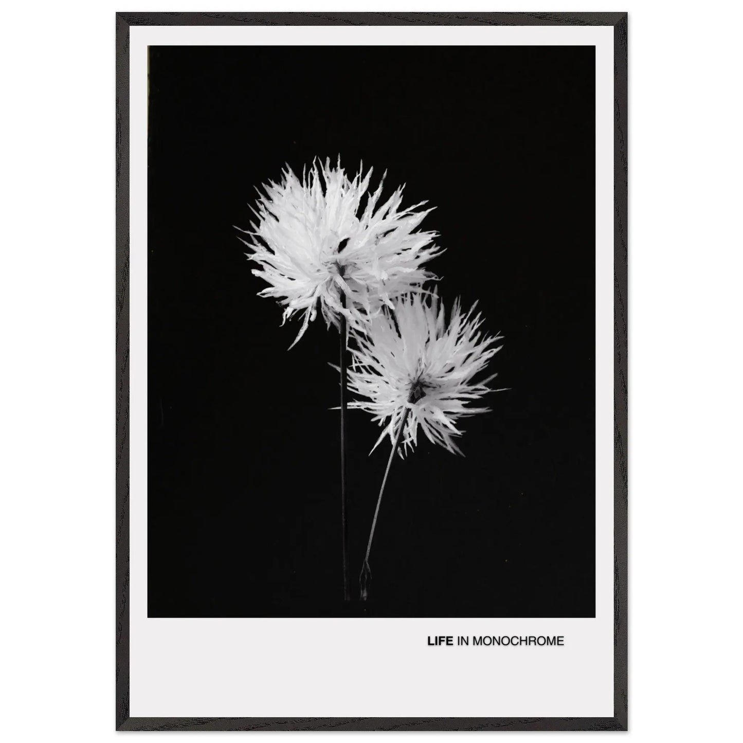 8f72d53d-b1dd-4da2-b60d-f113f1d01484