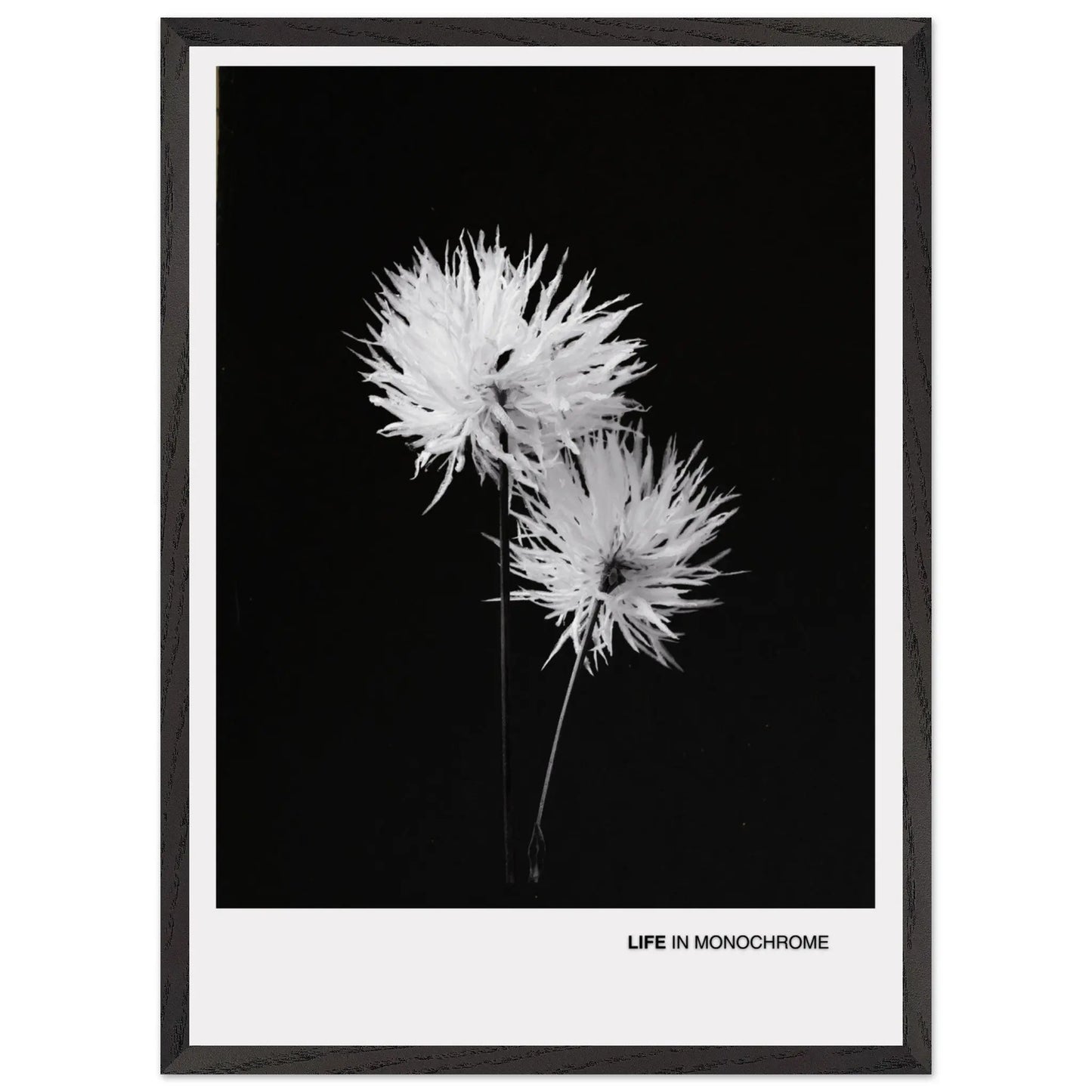 01fd0e54-7a57-4e13-b89c-c92804eb86fb