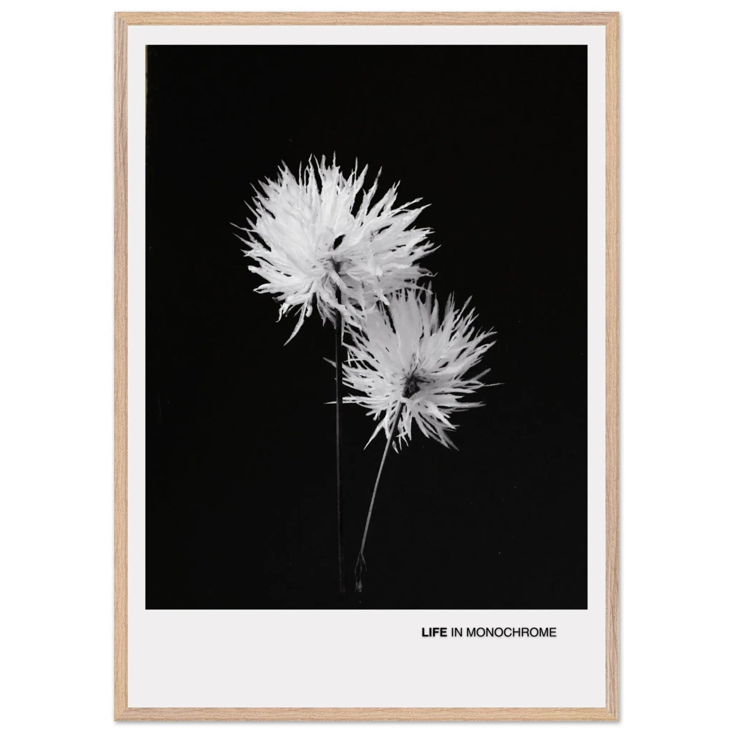 b90d3551-0f01-4129-940f-1115cf6f7562