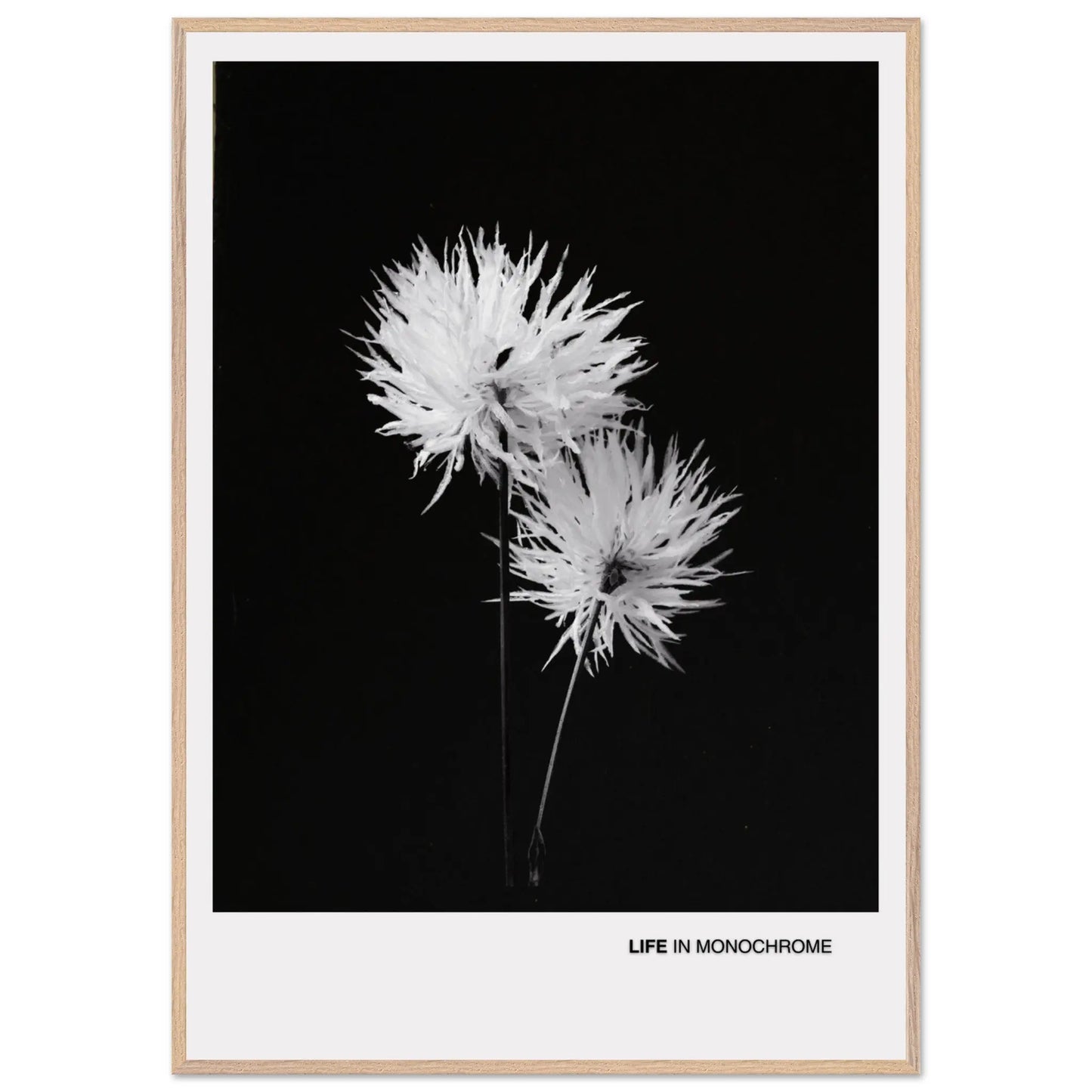 aac3e9a6-b801-4fb6-b3aa-c1832dadccea