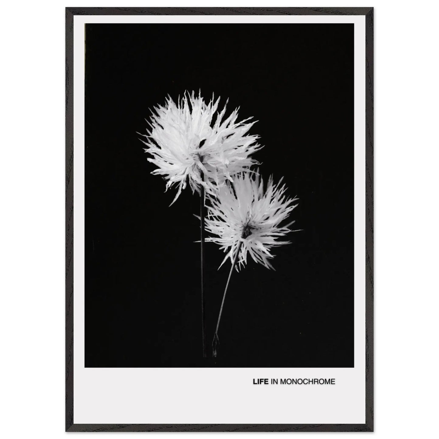 5d7014ac-a20a-4614-b3e1-95dd911e4947