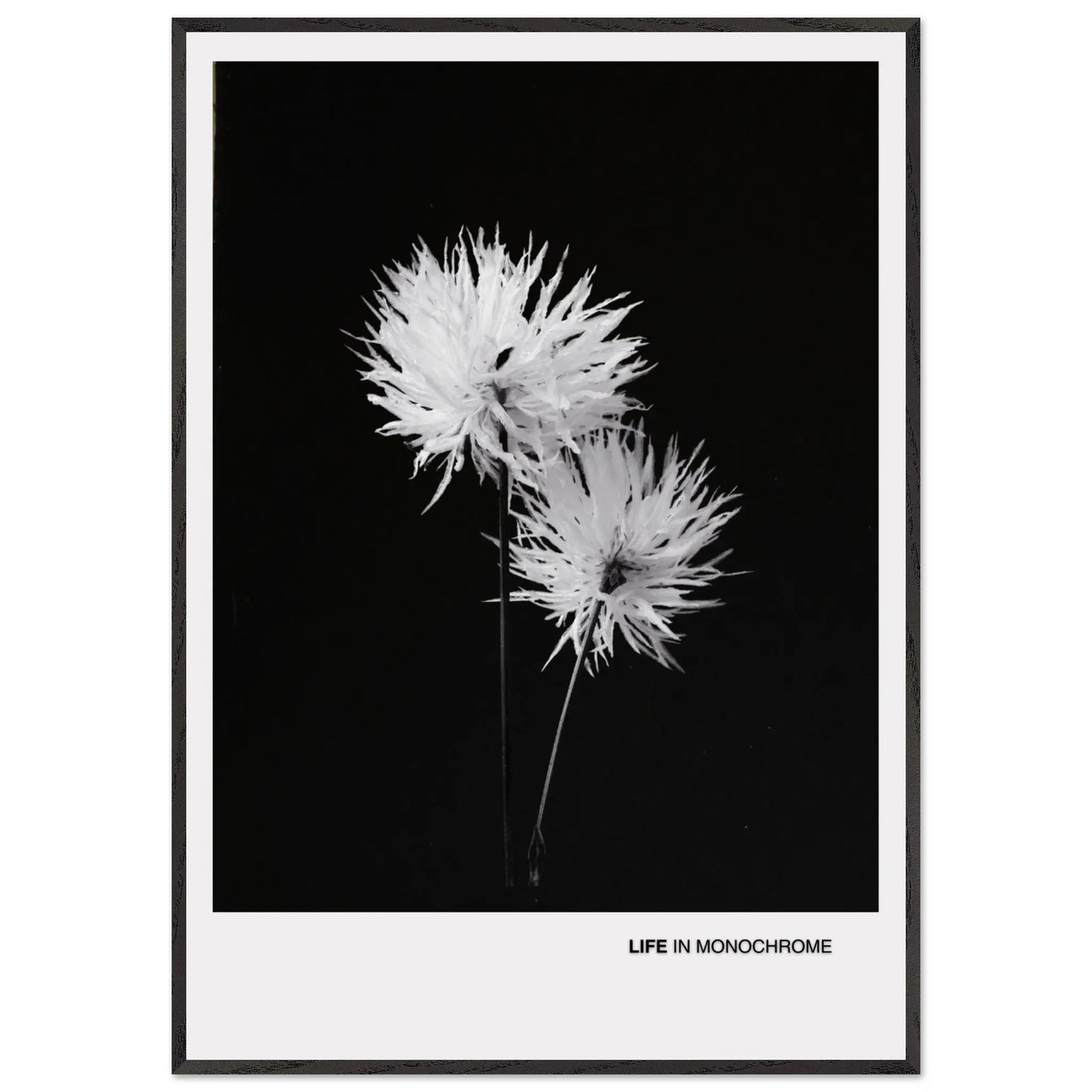 bff924b1-e8cc-4392-81af-38af951f1df9