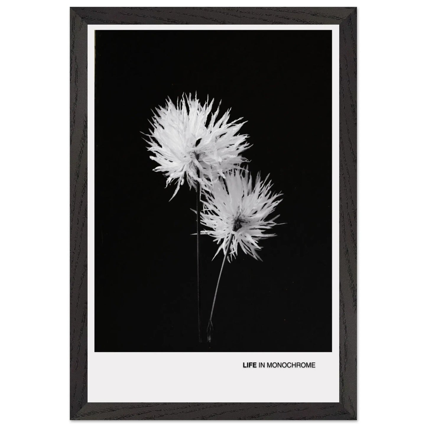 7b5ea421-72cf-4dec-87ab-0996e2e0b054