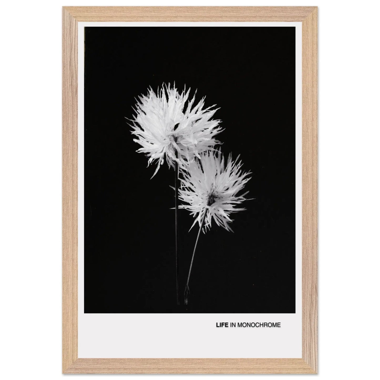 7629b6ba-fb32-47f7-b6dd-acc279c5b05b