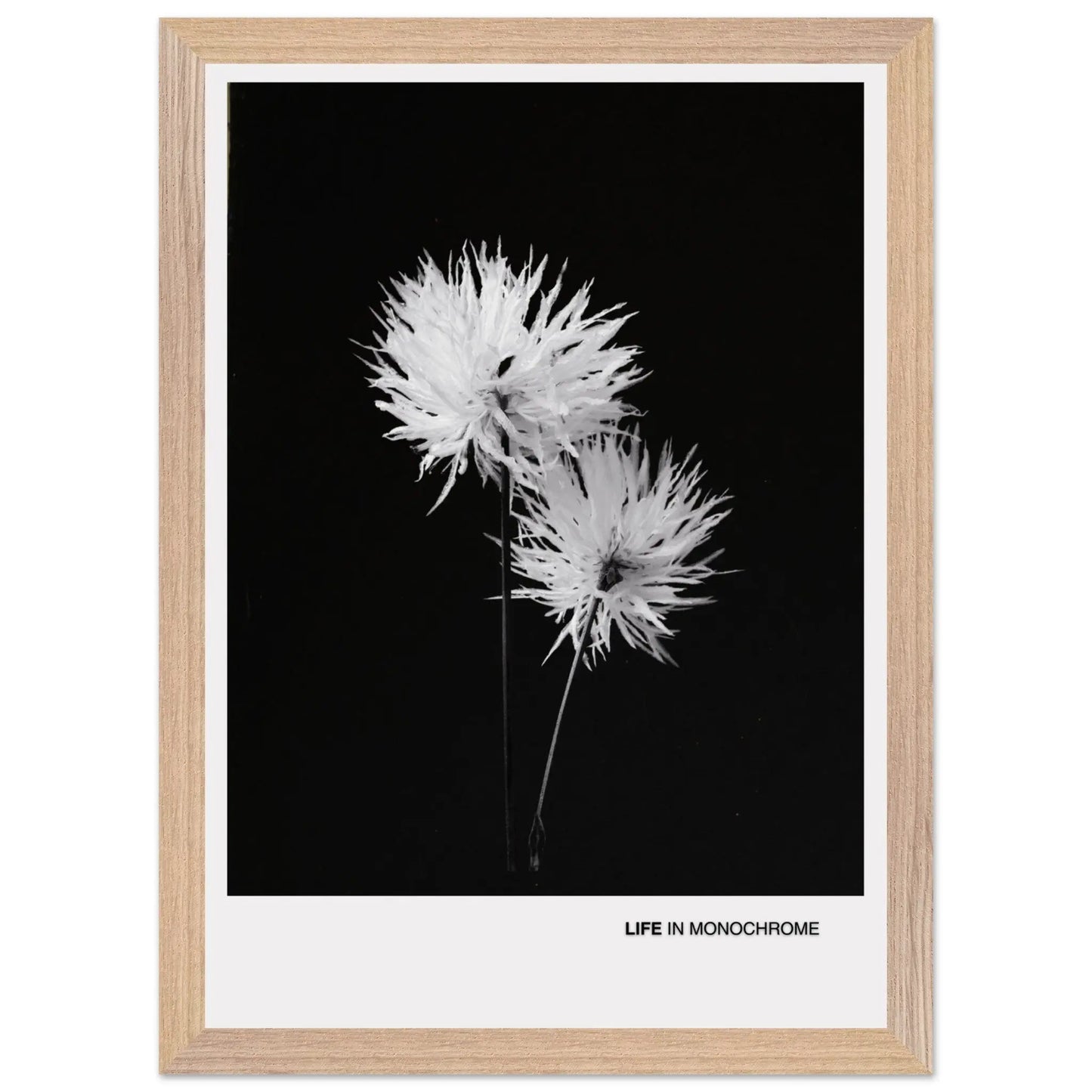 41e89228-6a65-4c8e-aa7a-224f226d5462