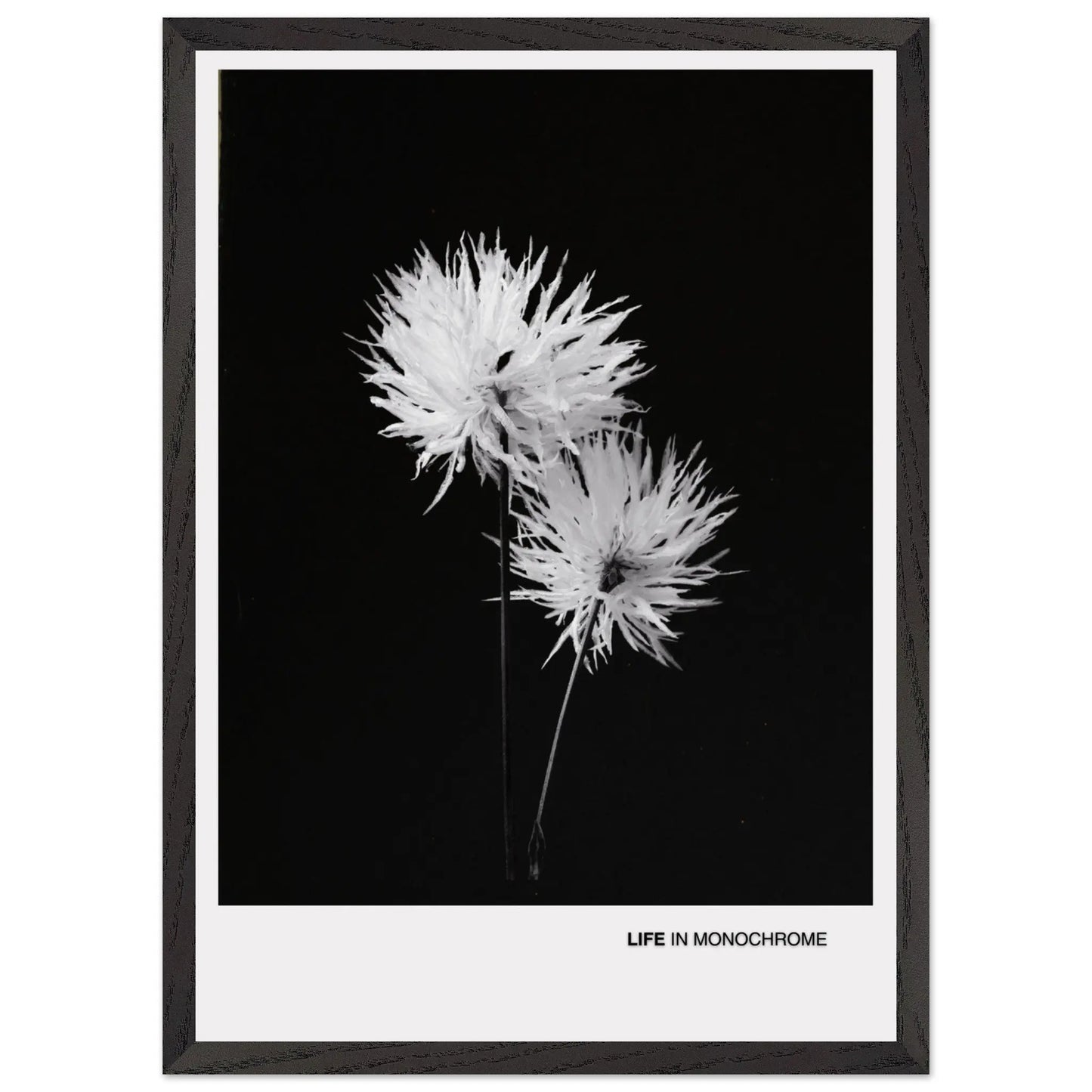 b802fe87-3df0-47a3-87bf-6da6e643d023