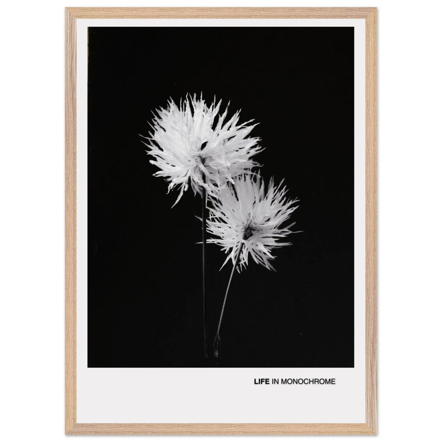 3459096d-0964-425d-a577-e10cd52d3bb6