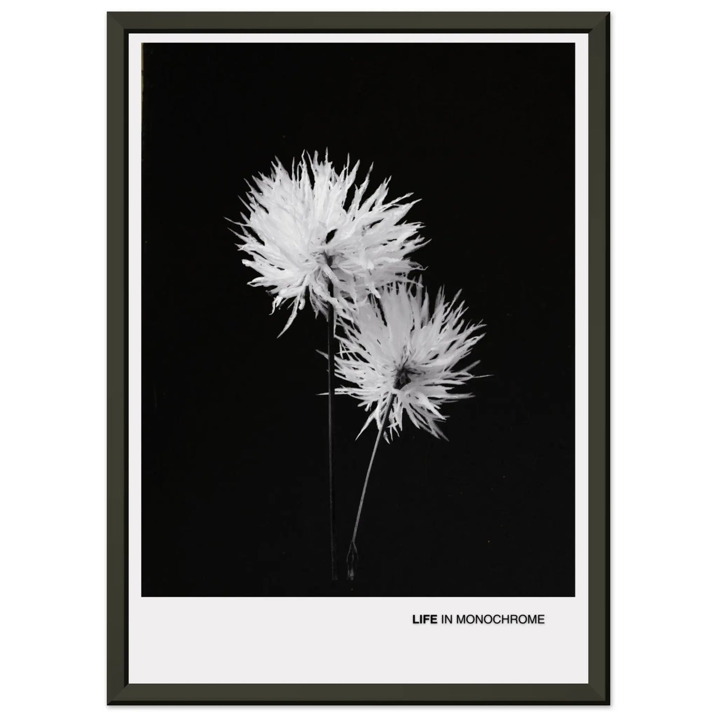 b1051c46-8726-4642-8612-c721fae404ca