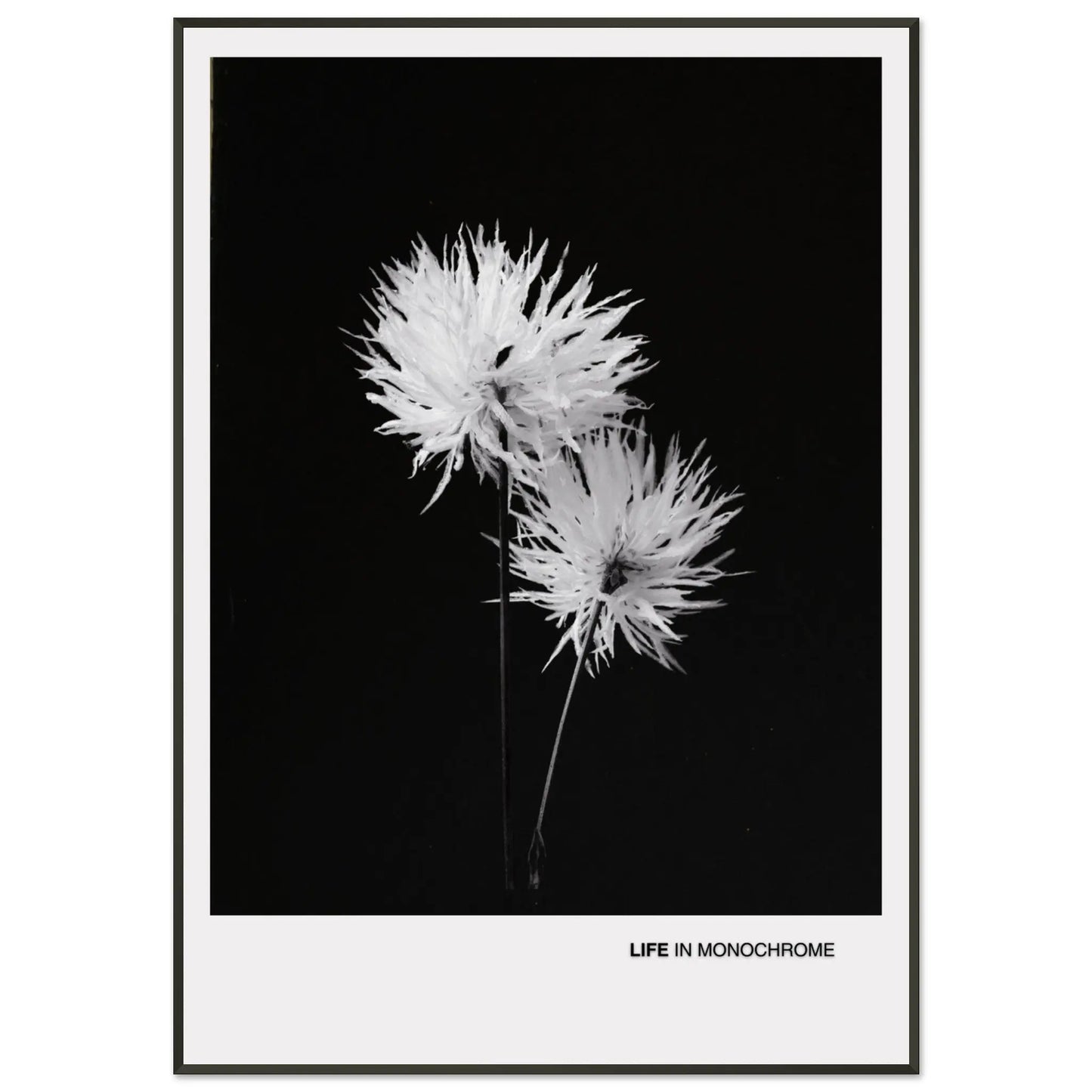 e8bd4ada-694b-43a2-974d-a7a9de7e4376