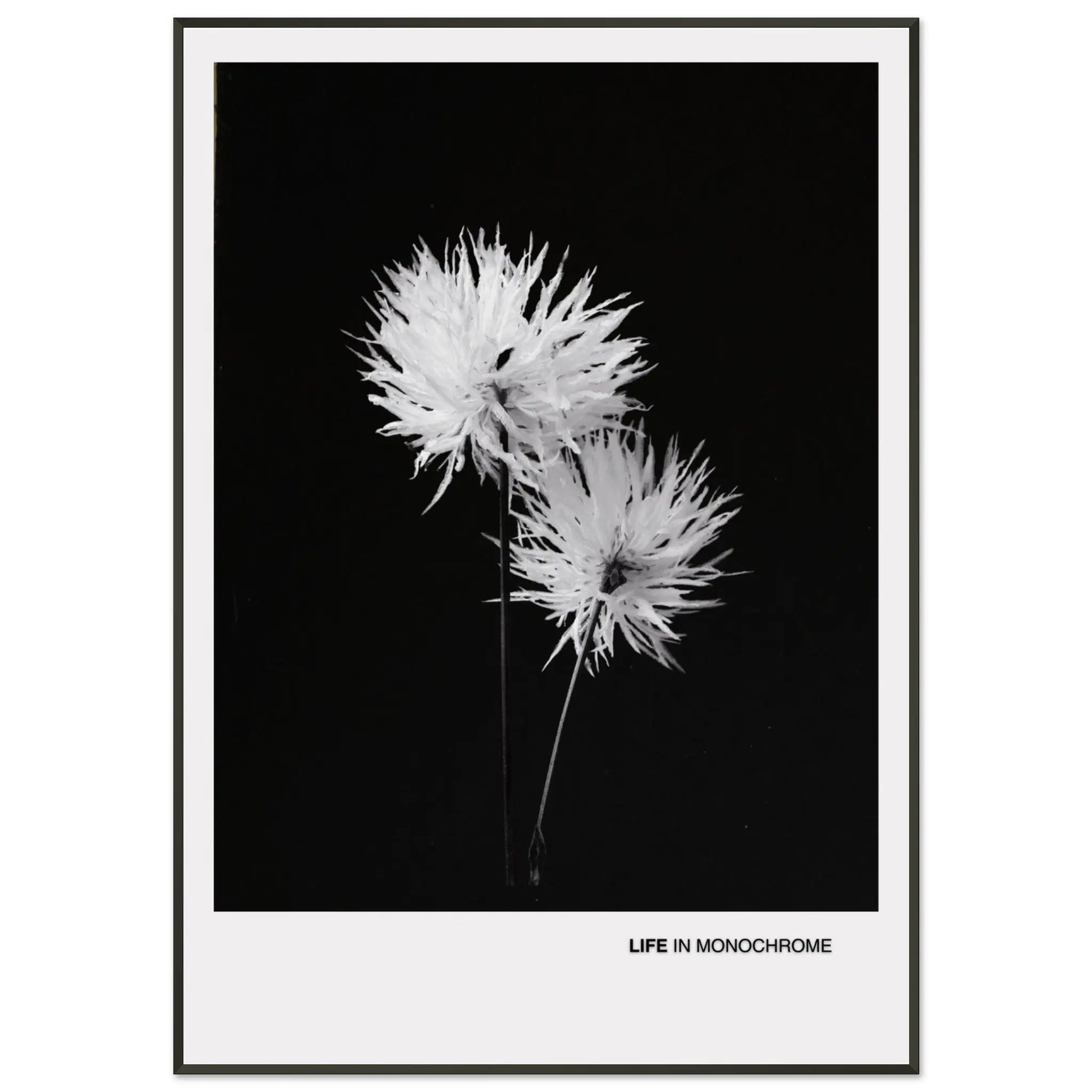 492445a5-60de-4318-9279-c869ab8d4a4b