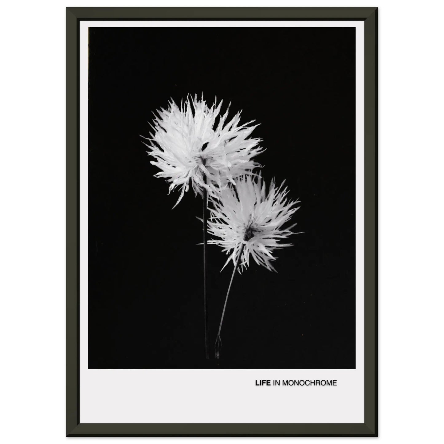 7eef108c-7047-4ecc-bb29-ef3080944708