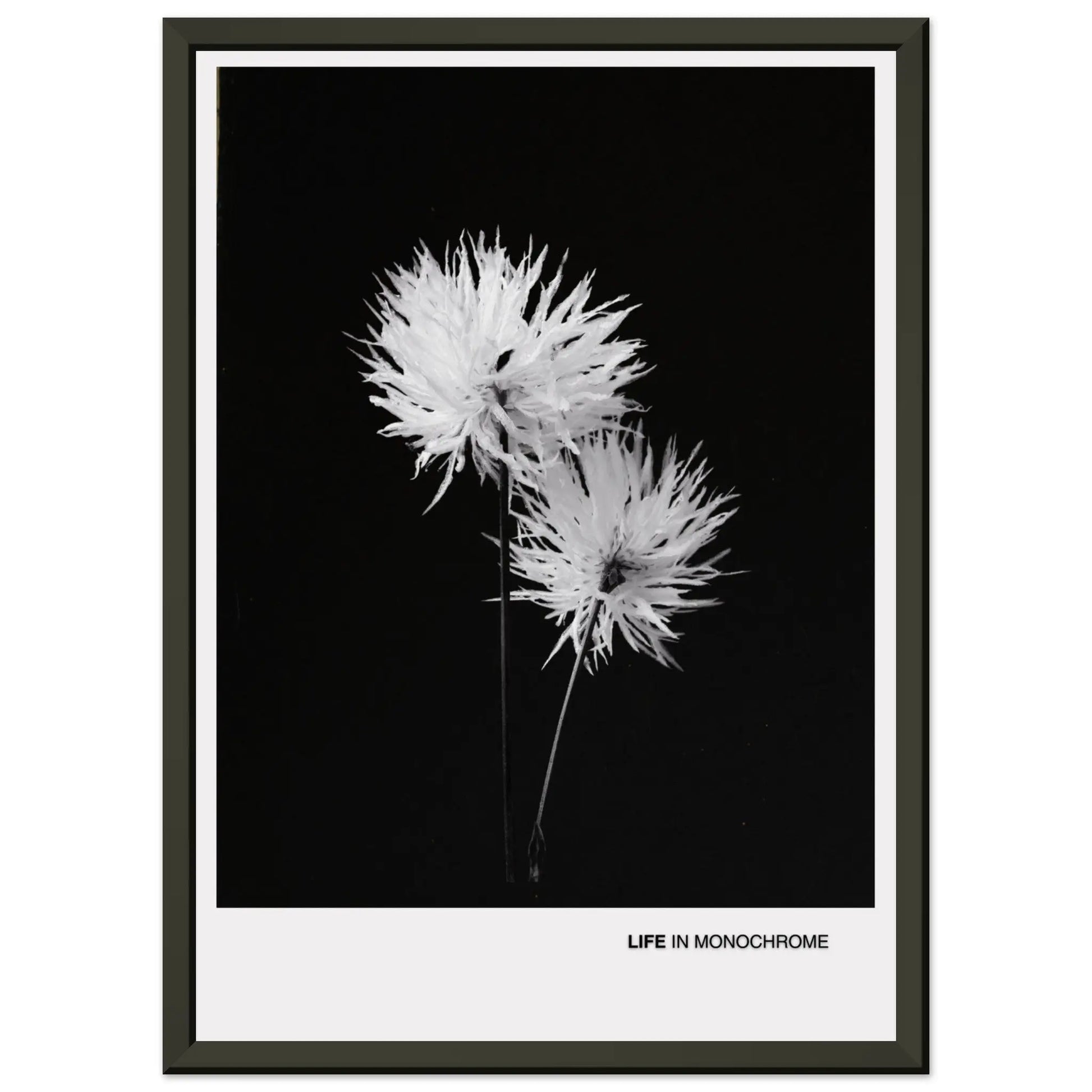 7eef108c-7047-4ecc-bb29-ef3080944708