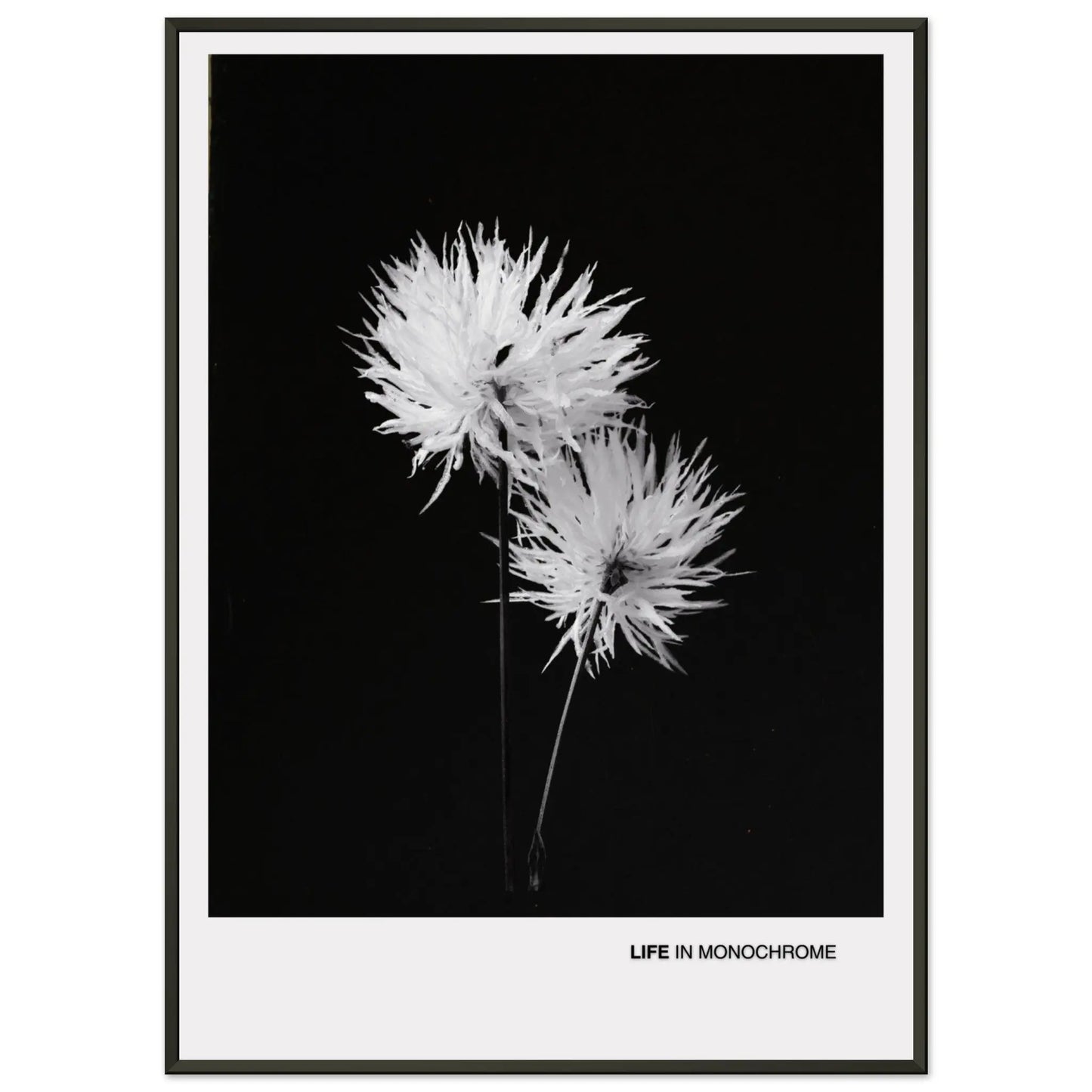 9a9b2420-e01c-4bc6-82aa-c2c84c4a7198