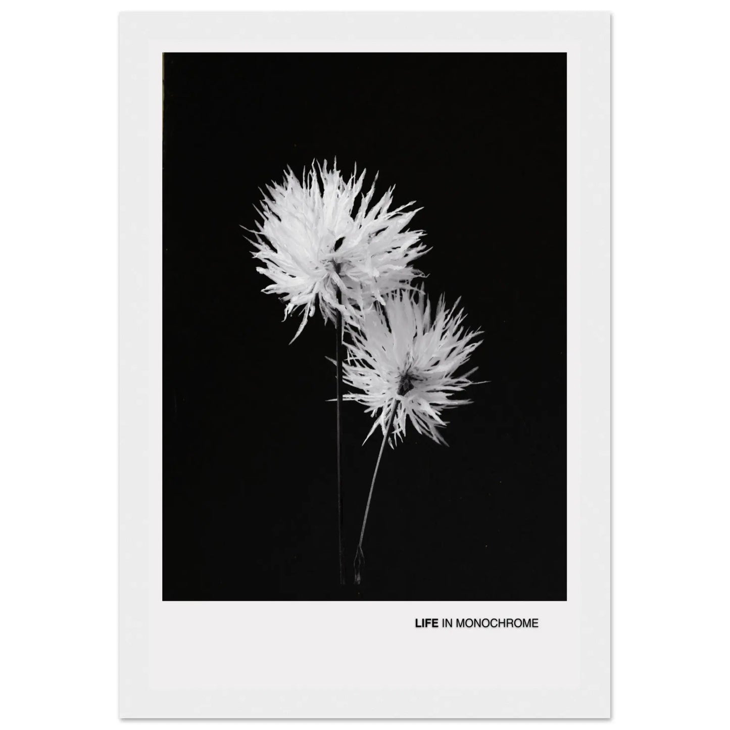 bc7fac81-a483-418c-97a3-899a93c61555